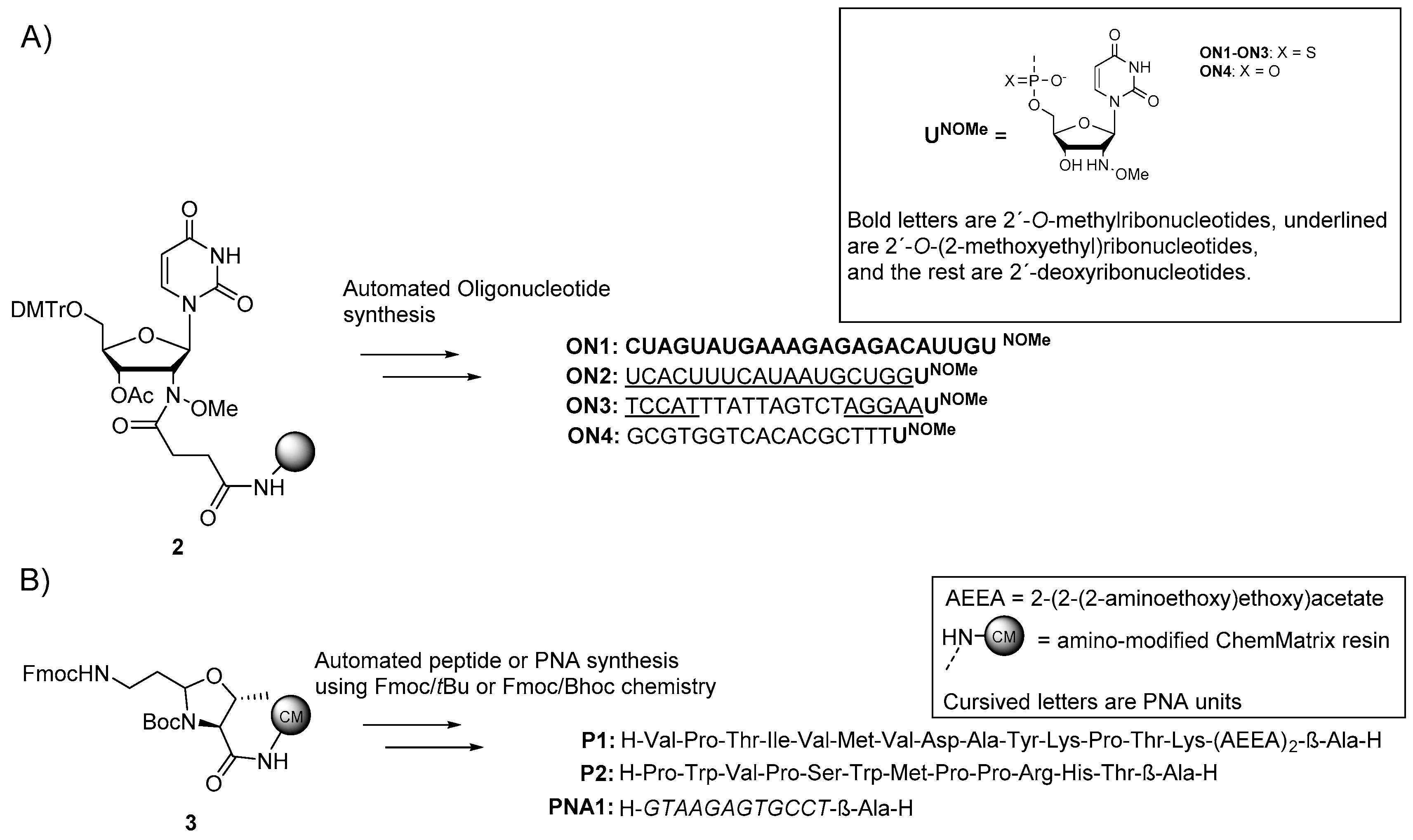 Molecules 26 00490 sch001