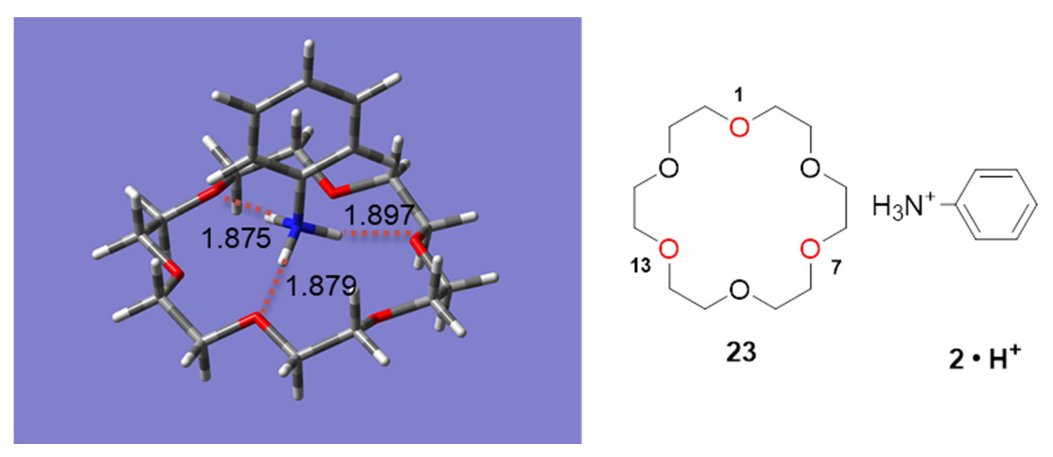 Molecules 26 00493 g010 Molecules 26 00493 g010