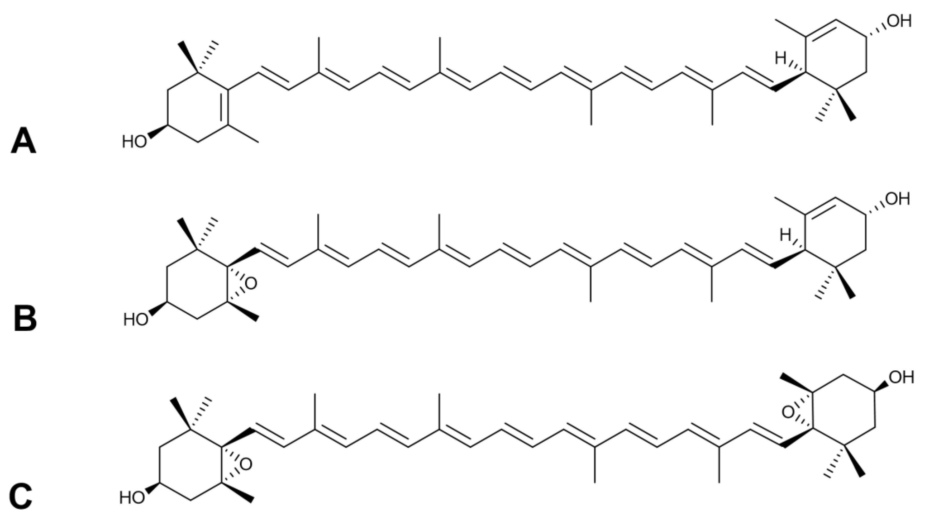 Molecules 26 00503 g003