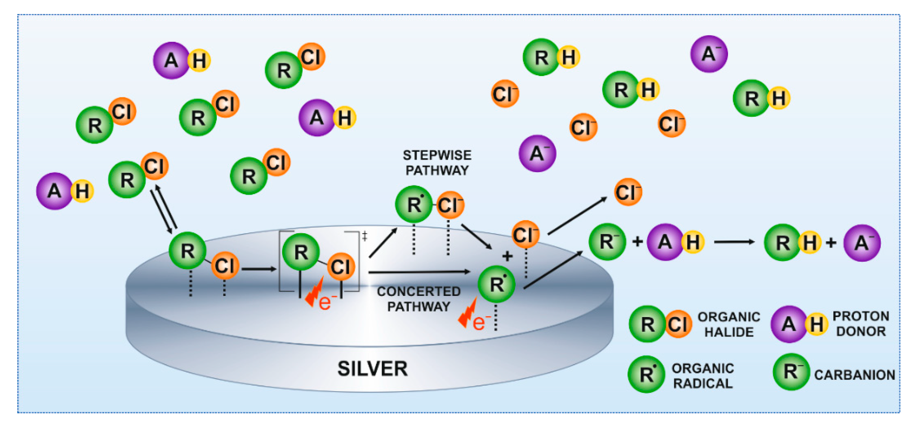 Molecules 26 00525 g003 Molecules 26 00525 g003