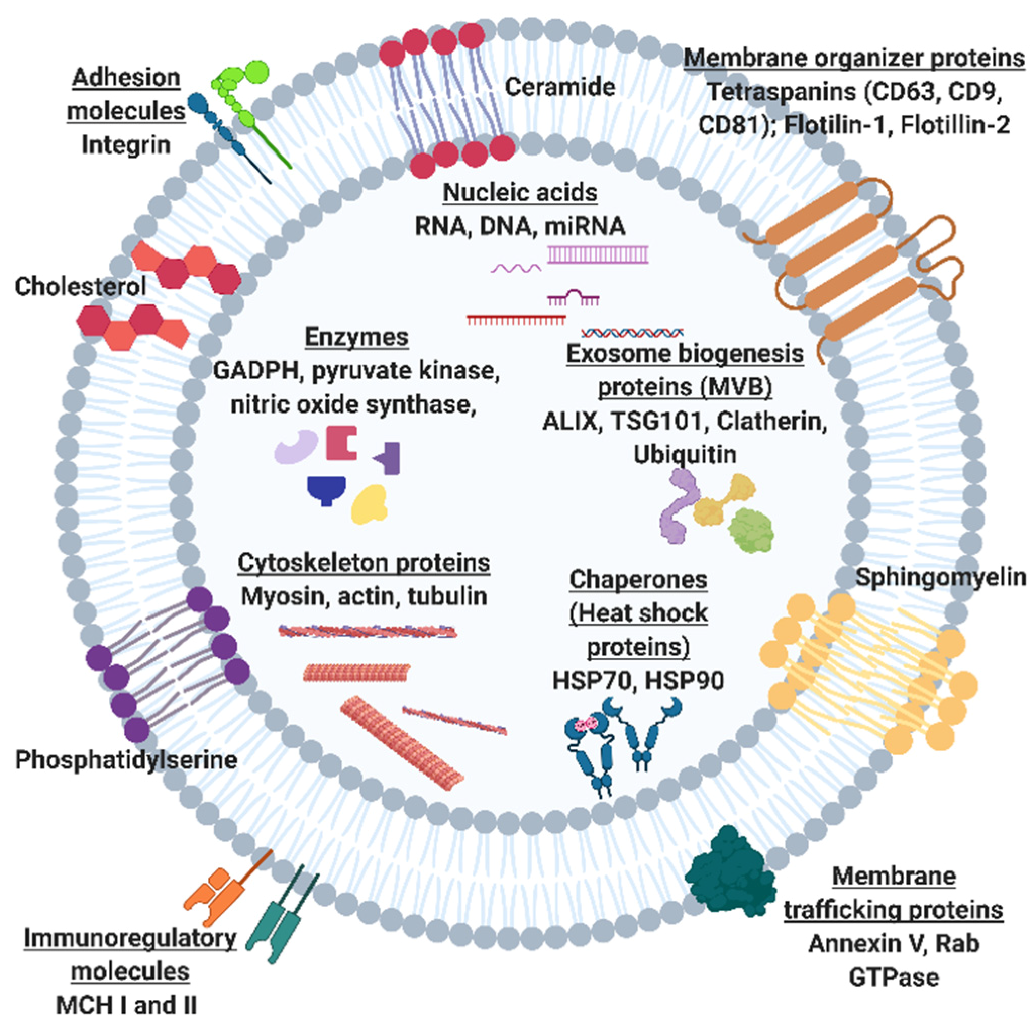 Molecules 26 00535 g001