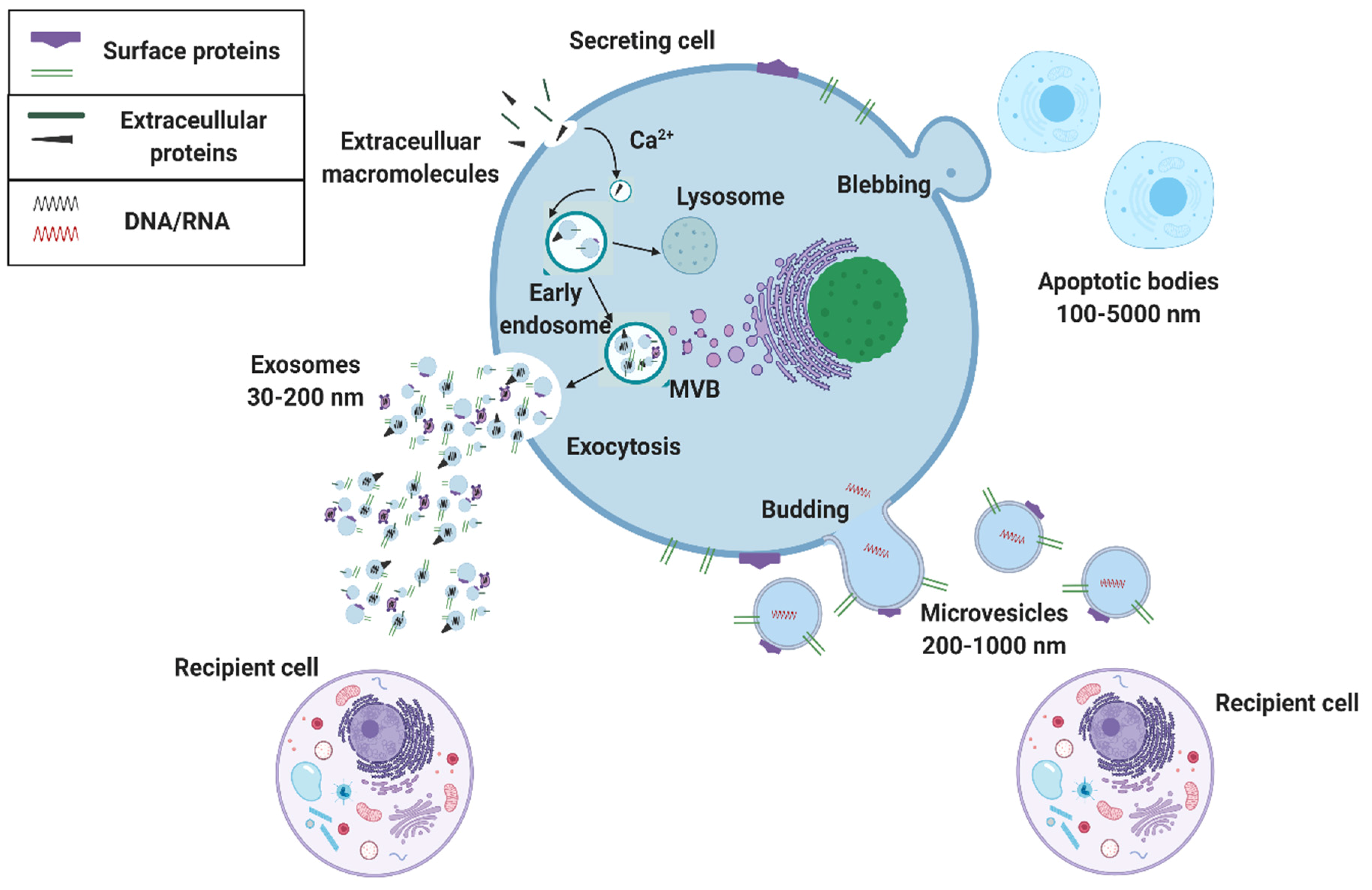 Molecules 26 00535 g002