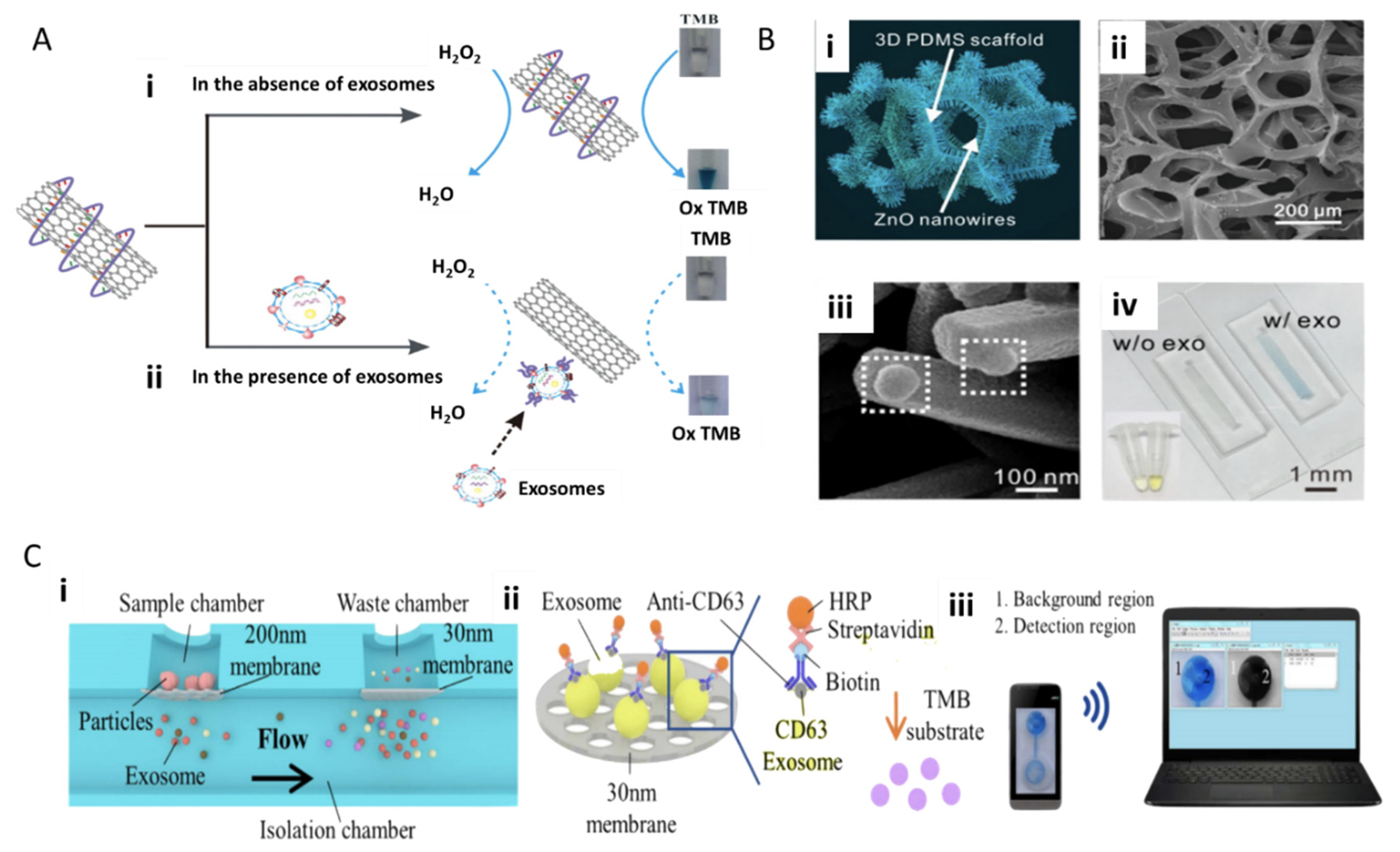 Molecules 26 00535 g004