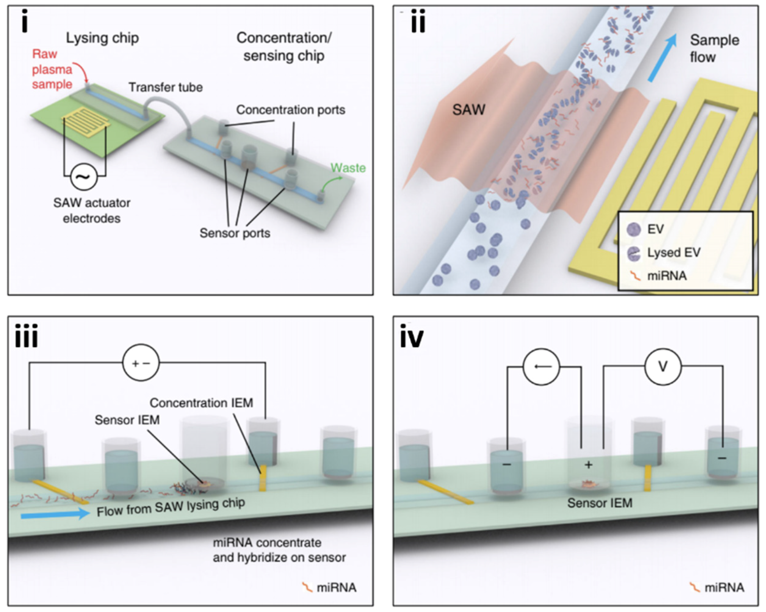 Molecules 26 00535 g008