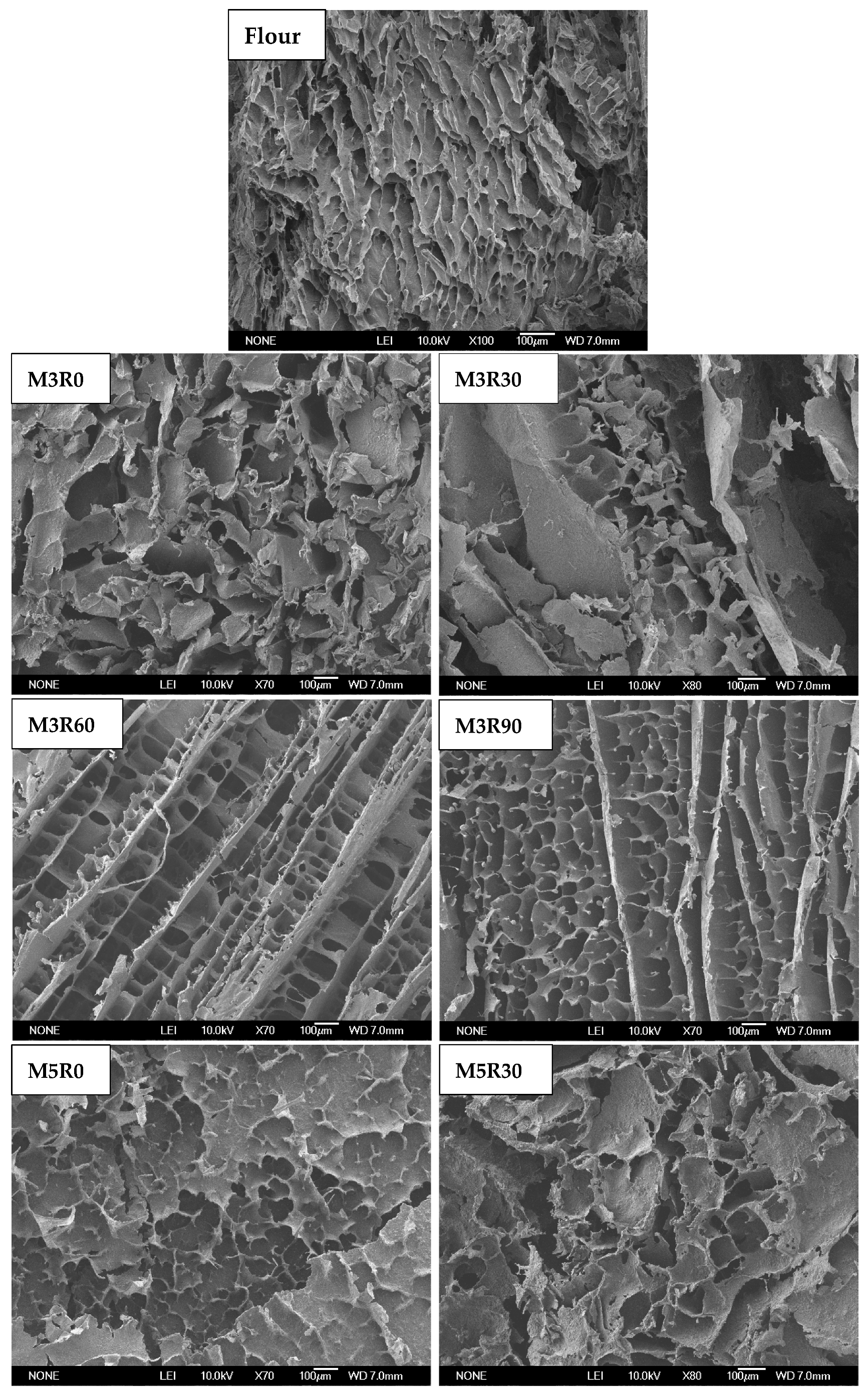 Molecules 26 00541 g005a