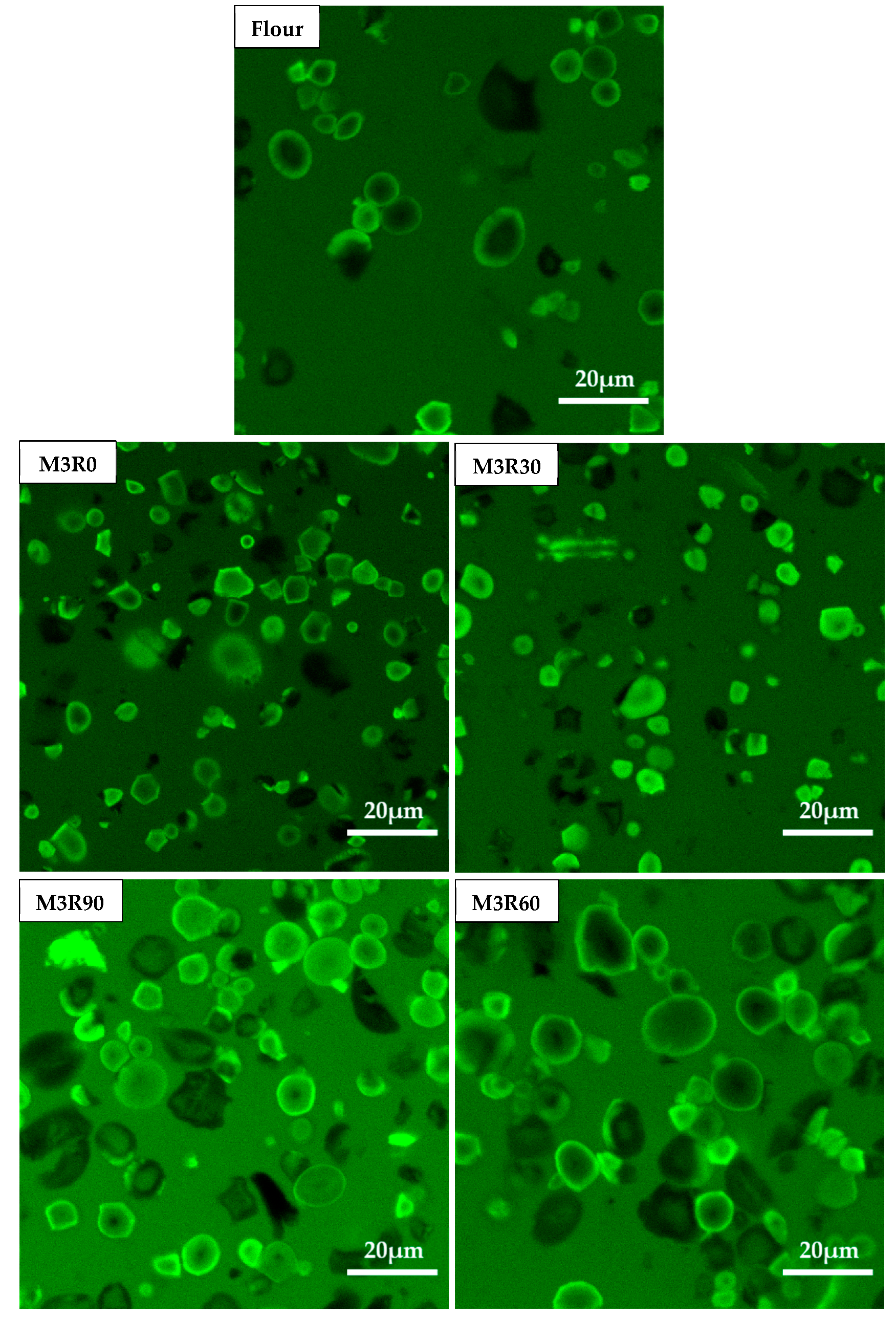 Molecules 26 00541 g006a