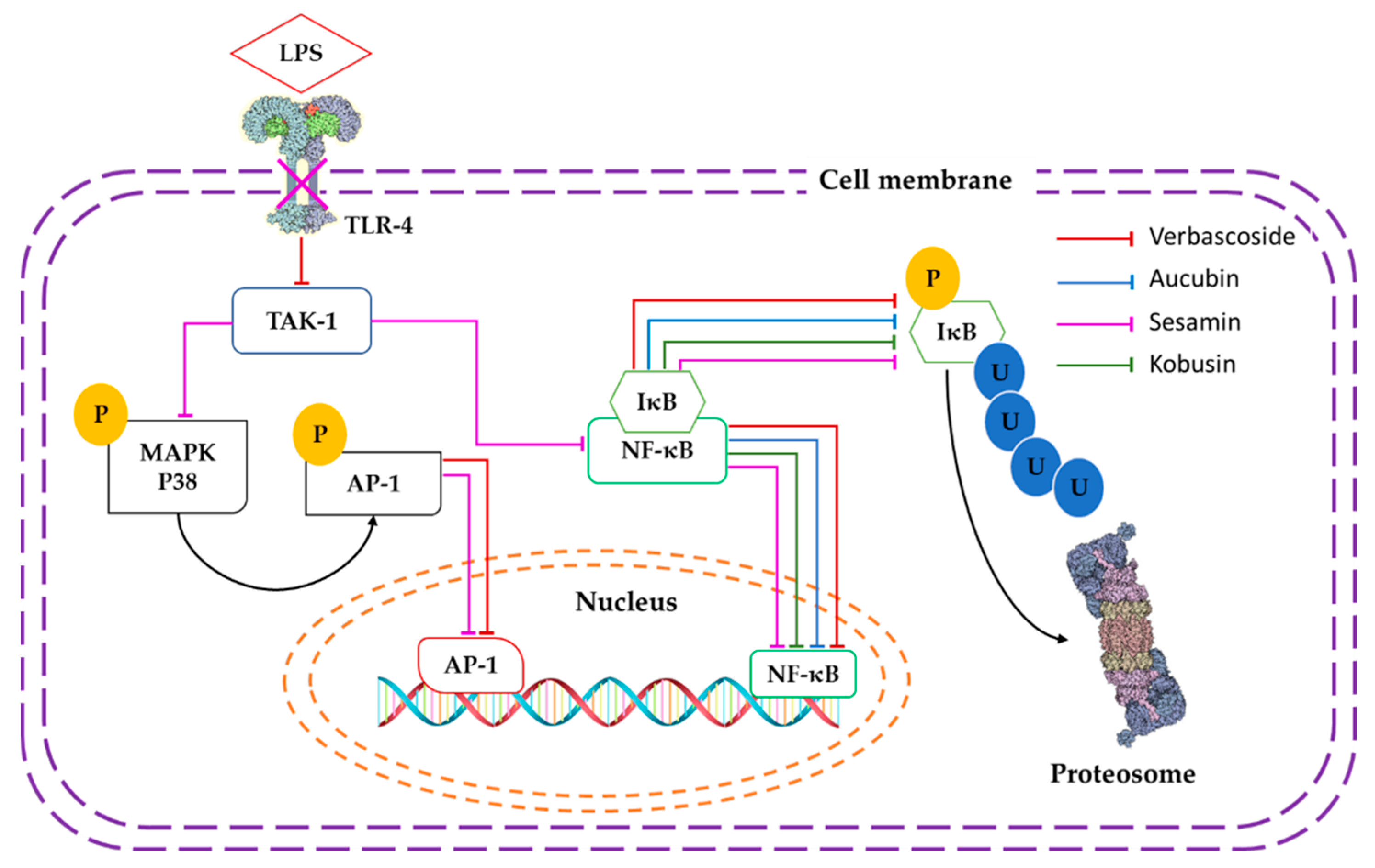 Molecules 26 00547 g002