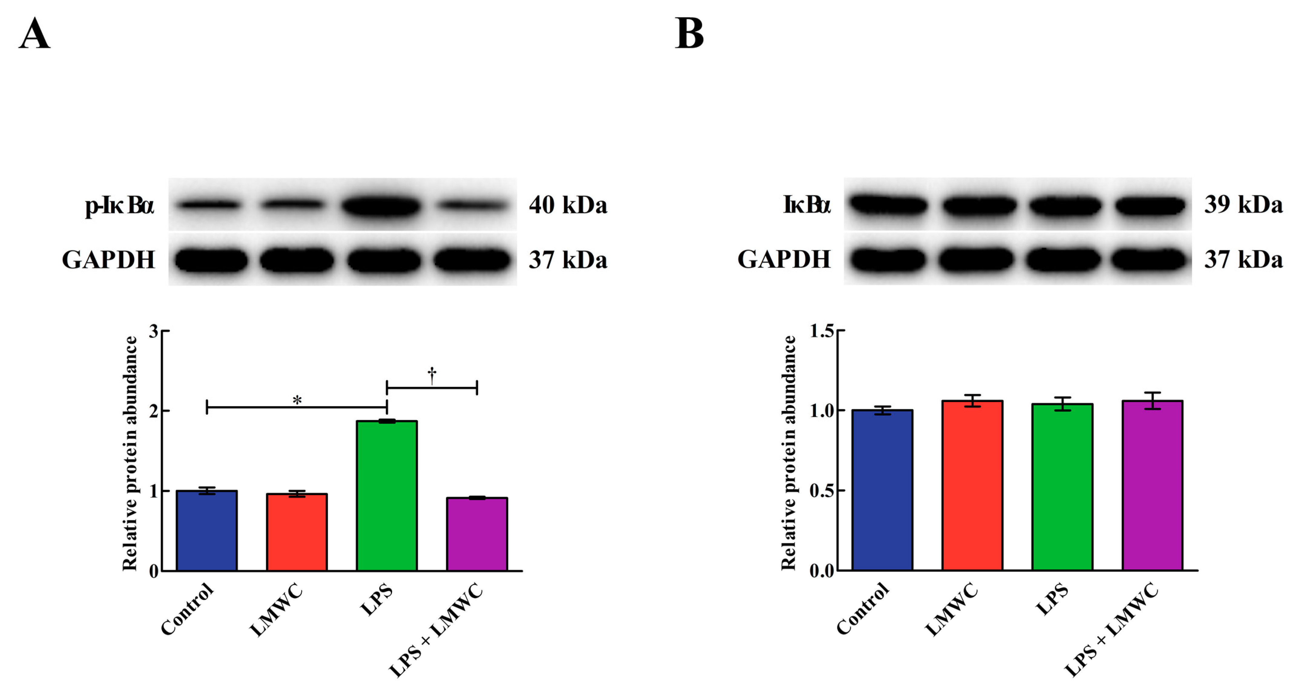 Molecules 26 00569 g008