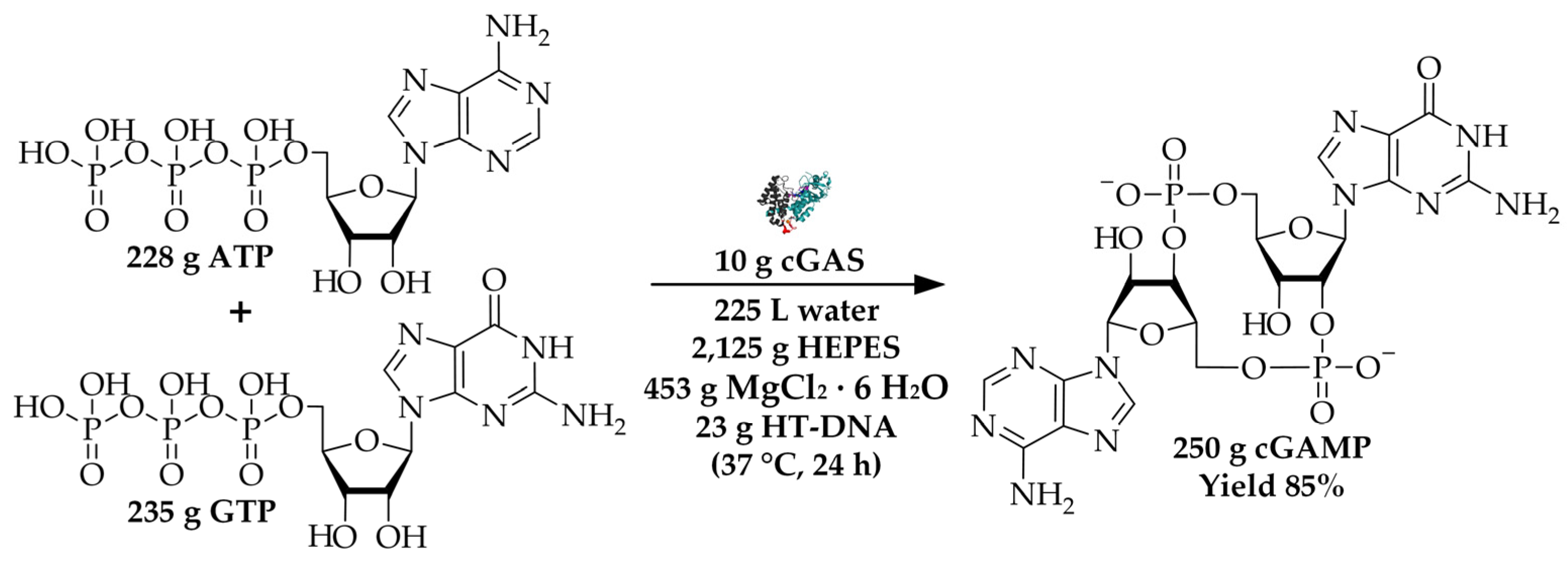 Molecules Free Full Text Environmental Assessment Of Enzyme Production And Purification Html