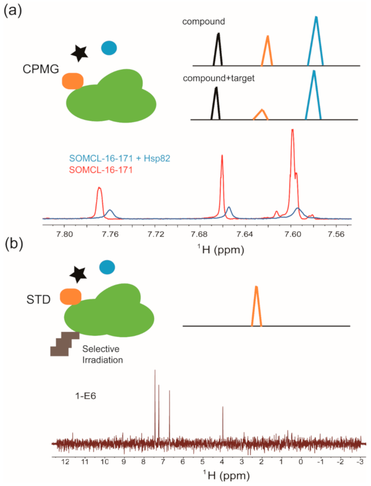 Molecules 26 00576 g002