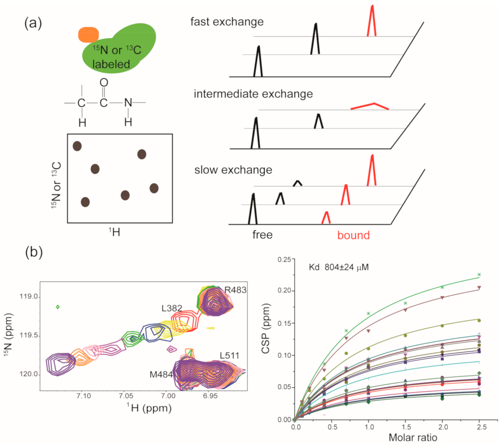 Molecules 26 00576 g003