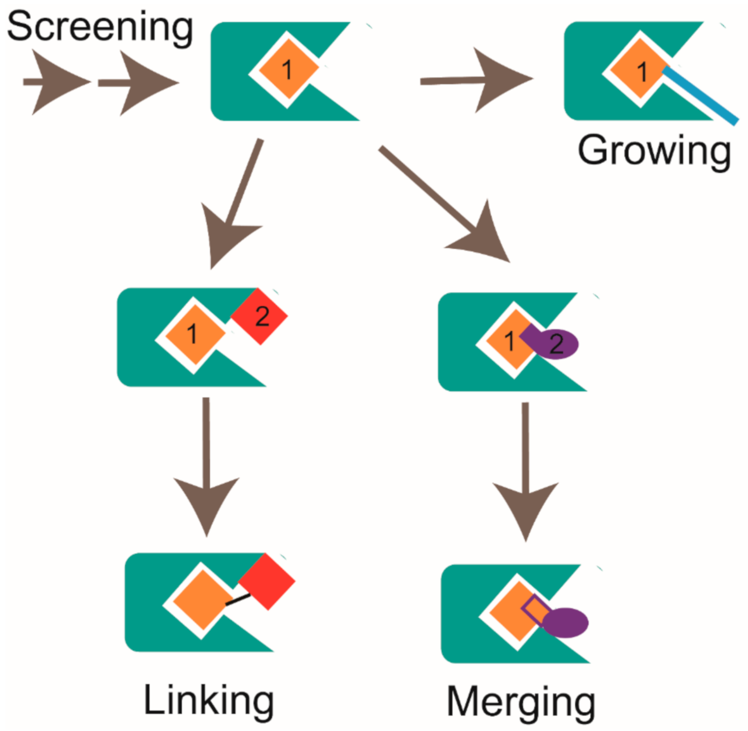 Molecules 26 00576 g004