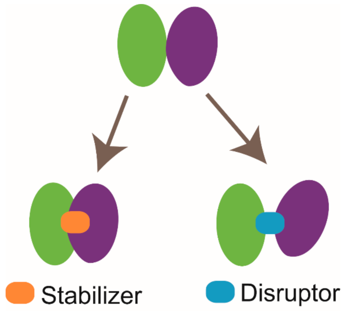 Molecules 26 00576 g006