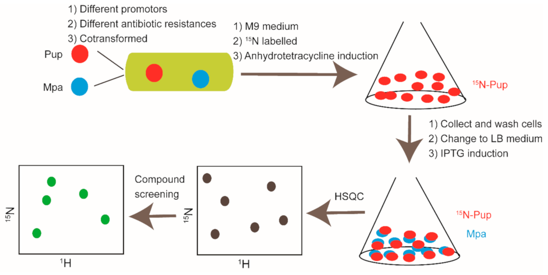 Molecules 26 00576 g007