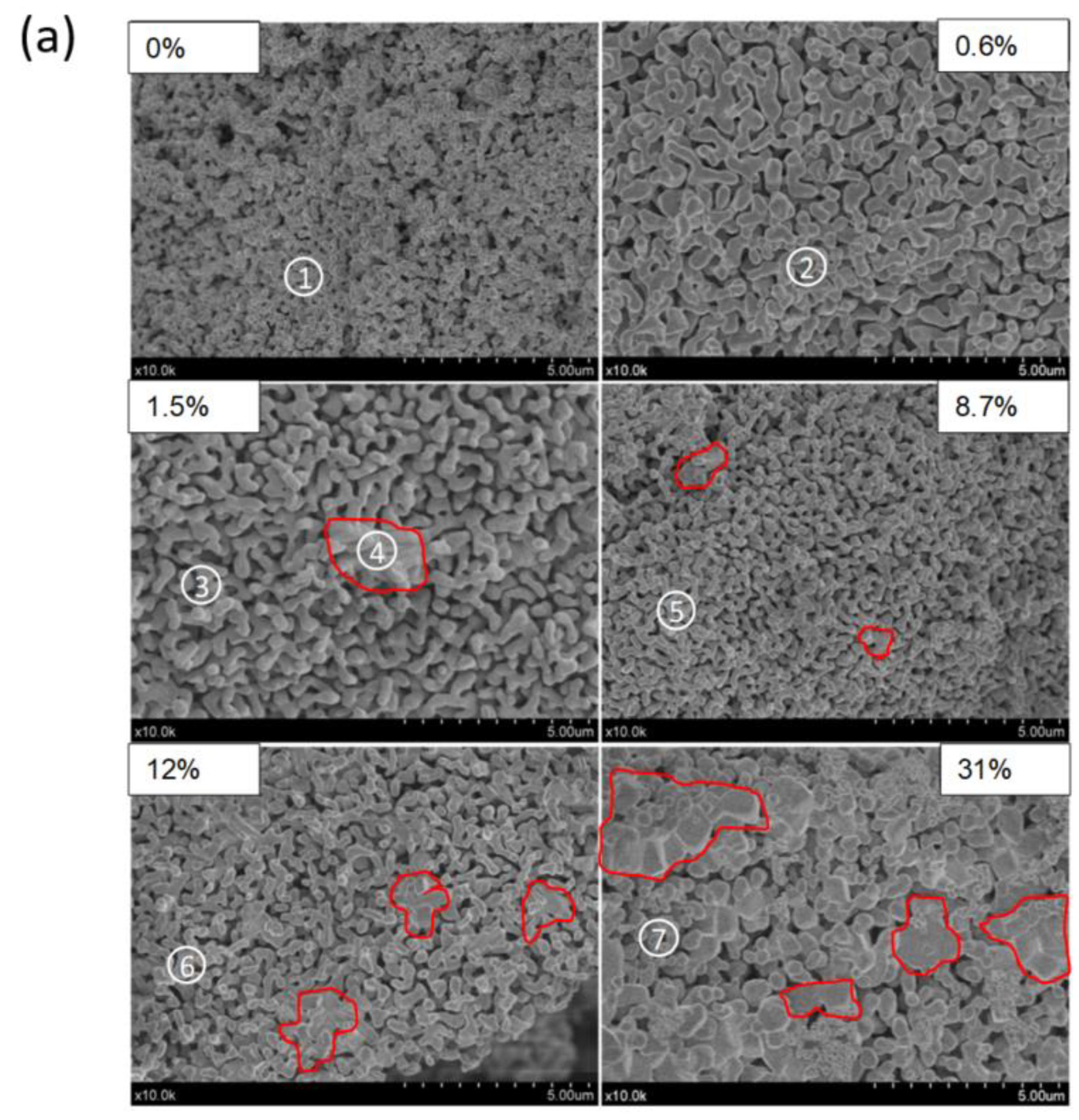 Molecules 26 00583 g003a