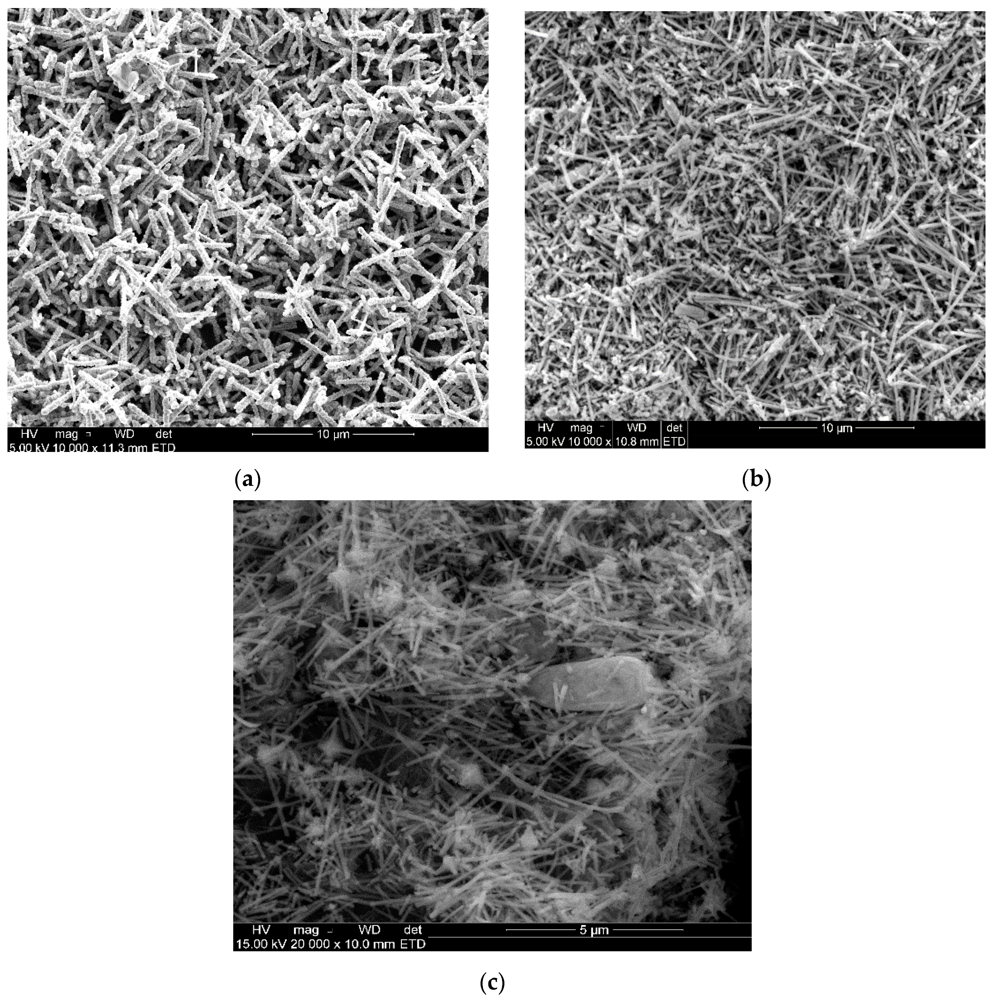 Molecules 26 00586 g005 Molecules 26 00586 g005