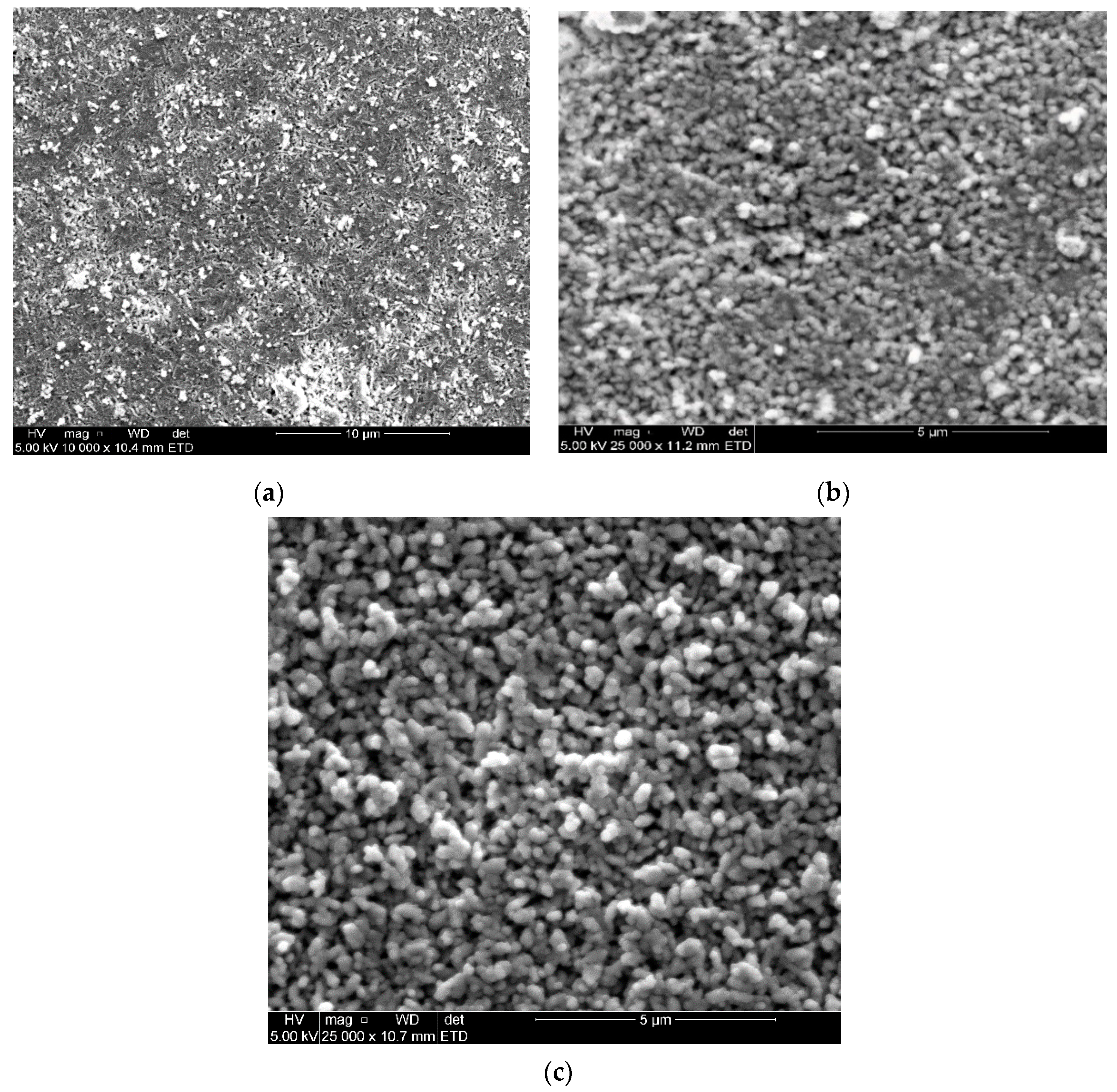 Molecules 26 00586 g006 Molecules 26 00586 g006
