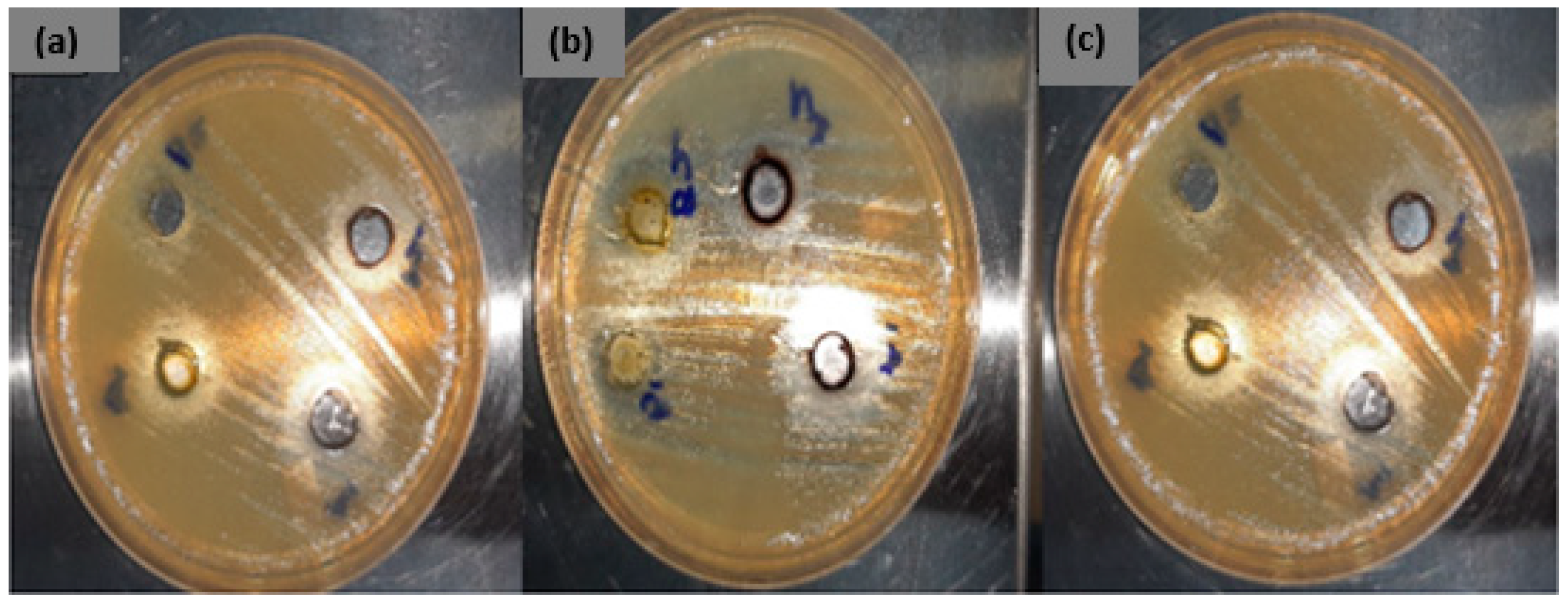 Molecules 26 00586 g009 Molecules 26 00586 g009