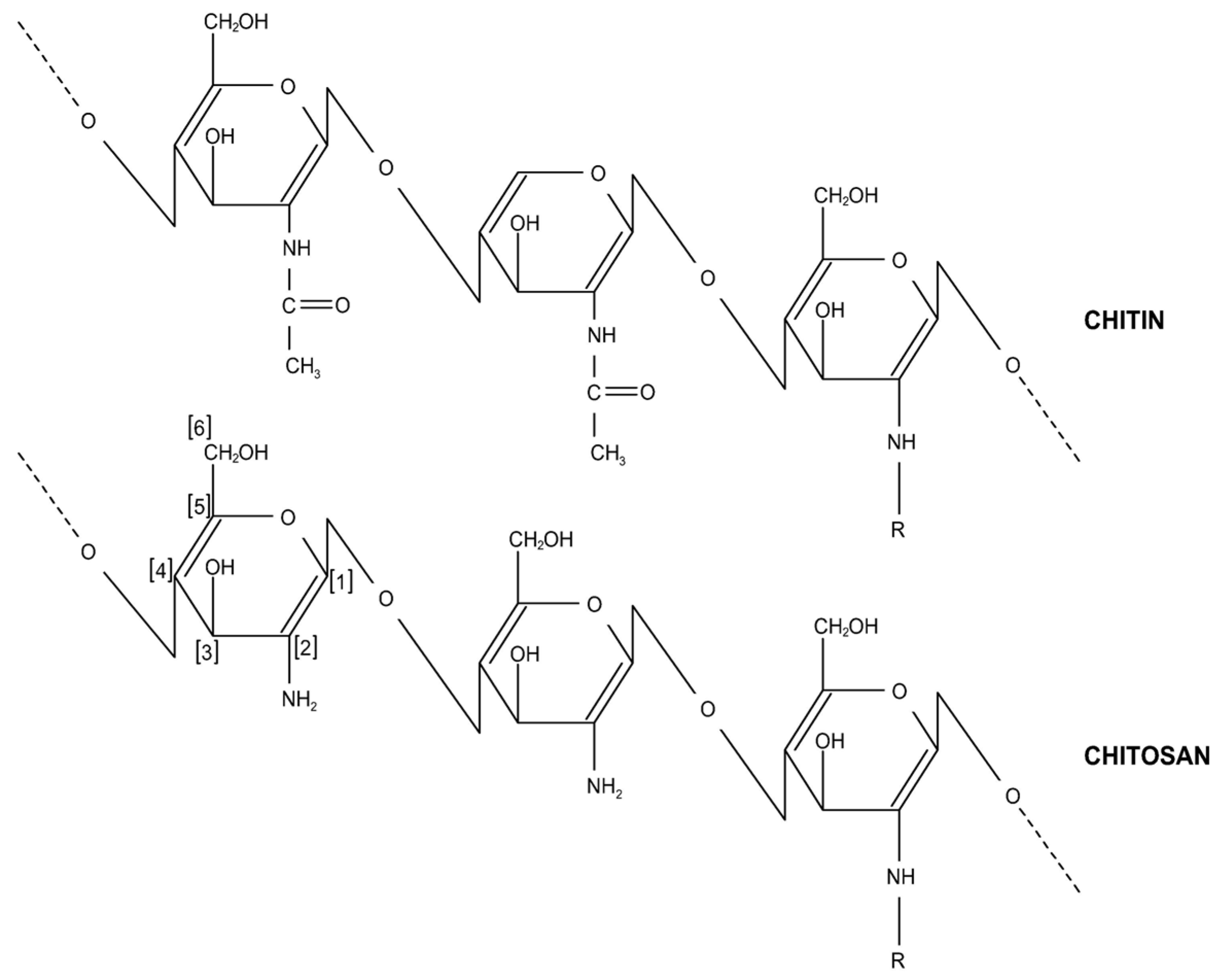 Molecules 26 00594 g003 Molecules 26 00594 g003