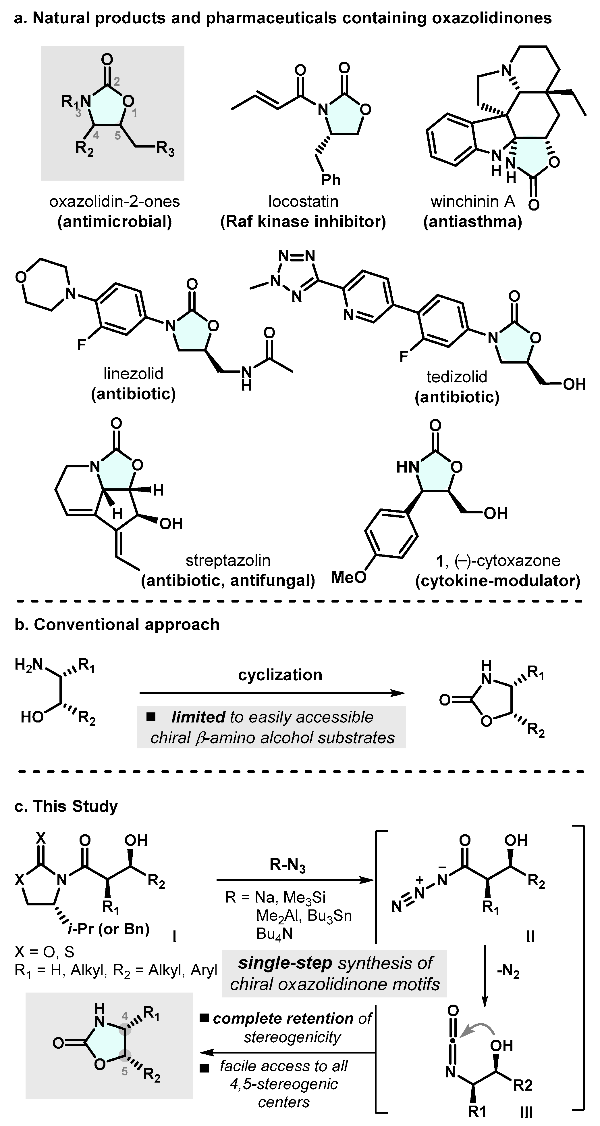 Molecules 26 00597 sch001