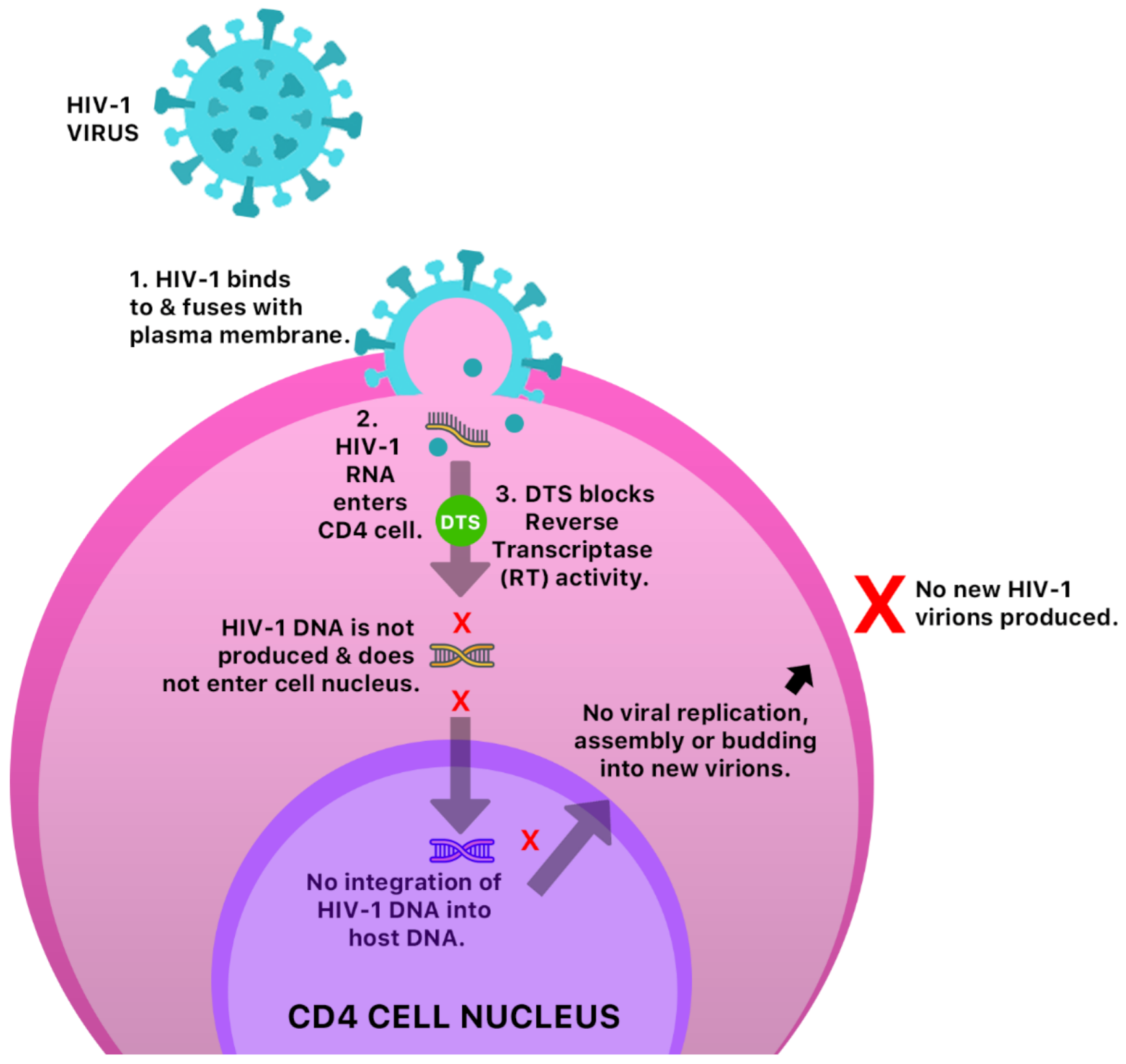 Molecules Free Full Text Antiviral Activity of Jamaican