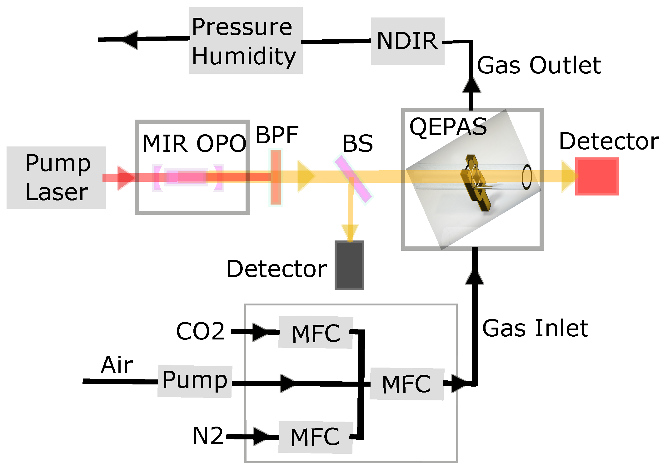 Molecules 26 00609 g001