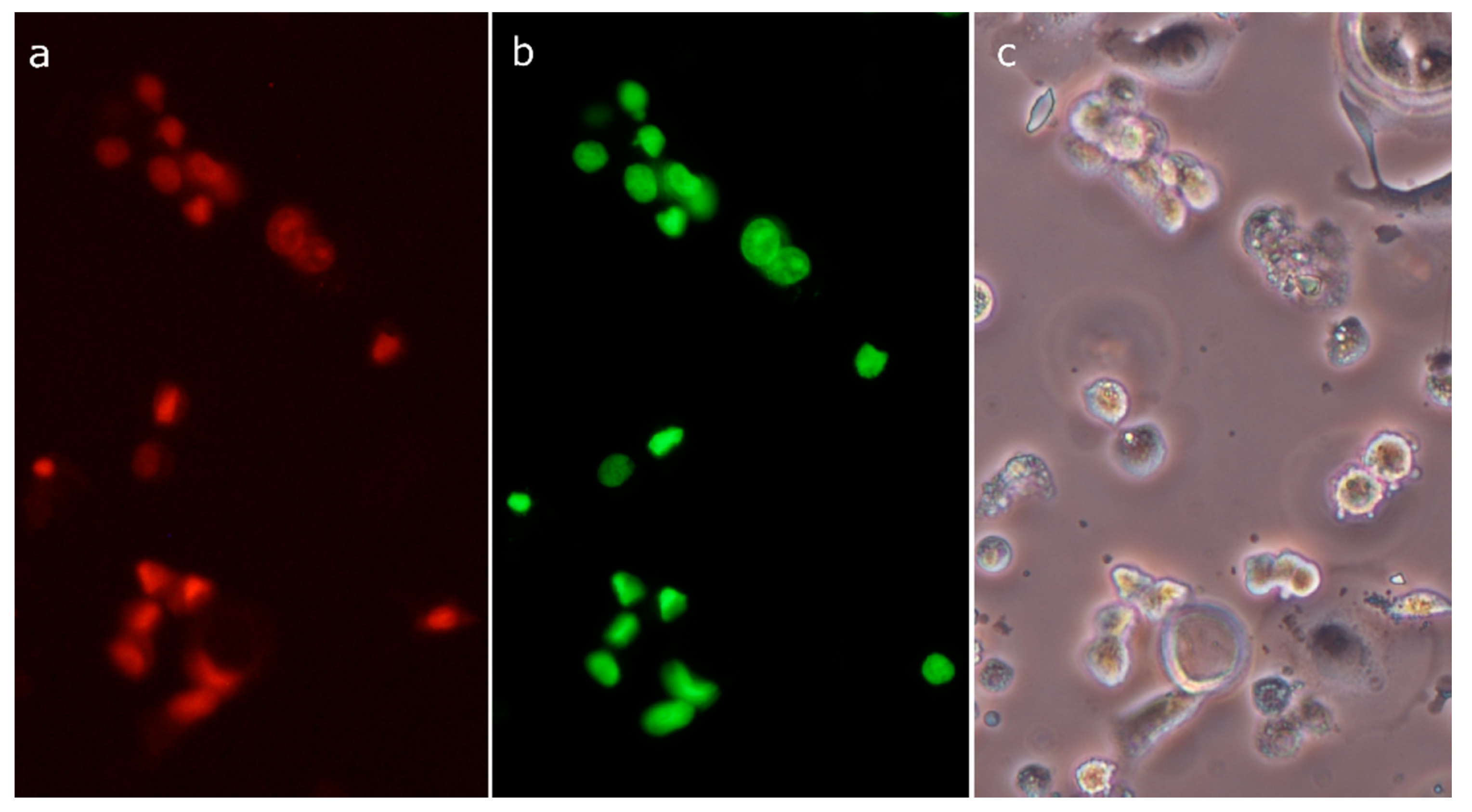 Molecules 26 00615 g009