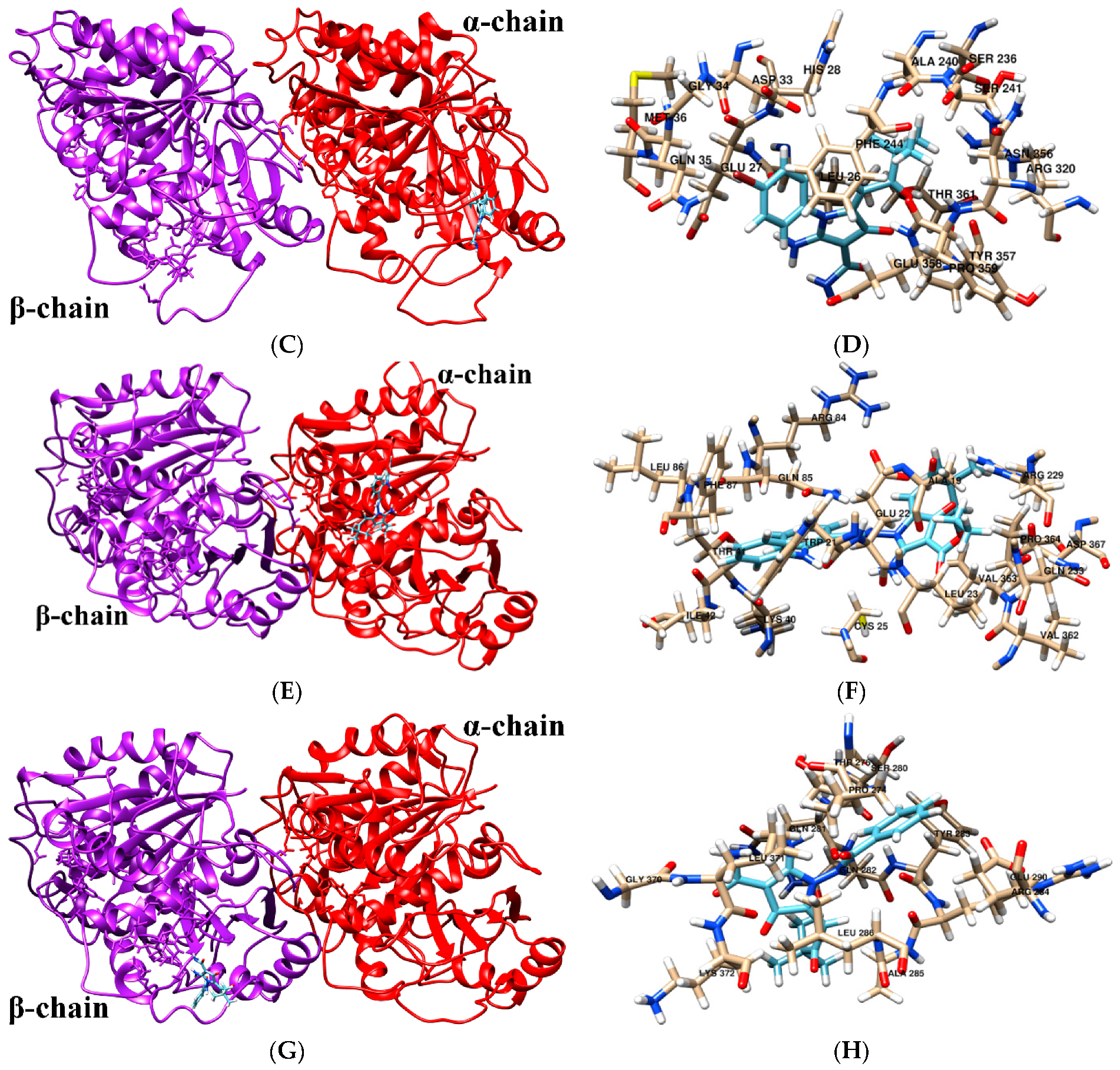Molecules 26 00616 g010b Molecules 26 00616 g010b