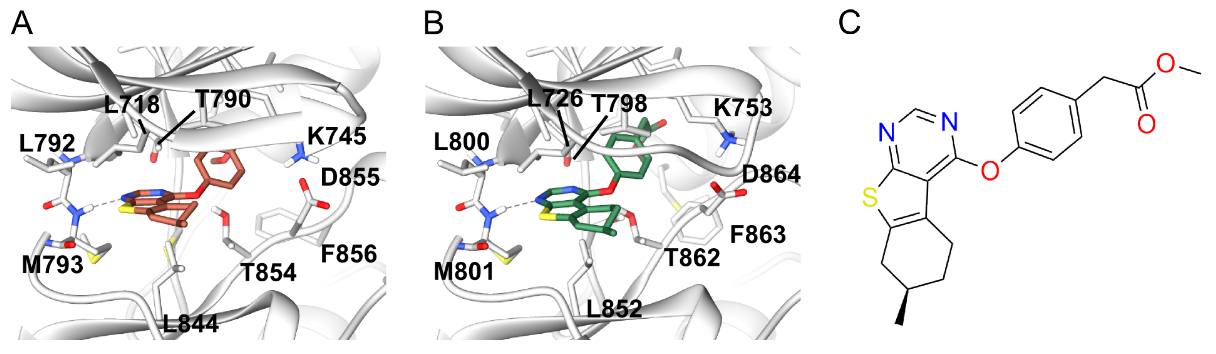 Molecules 26 00629 g001 Molecules 26 00629 g001