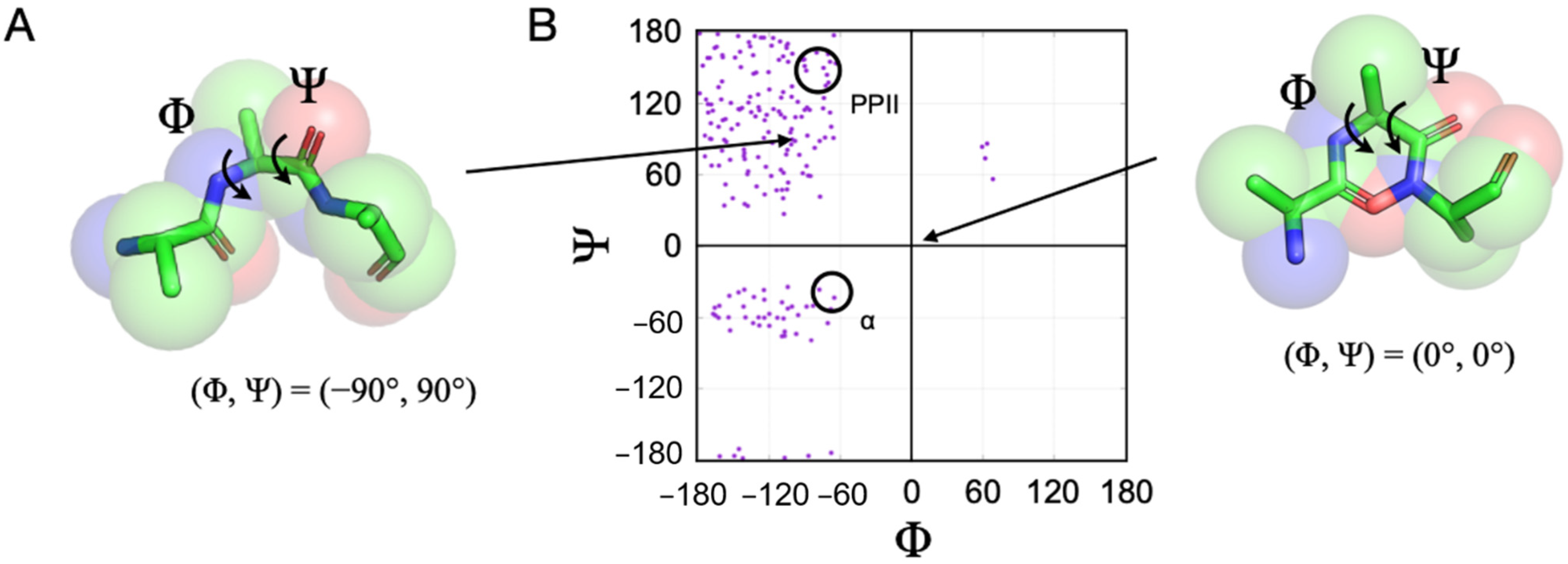 Molecules 26 00634 g001