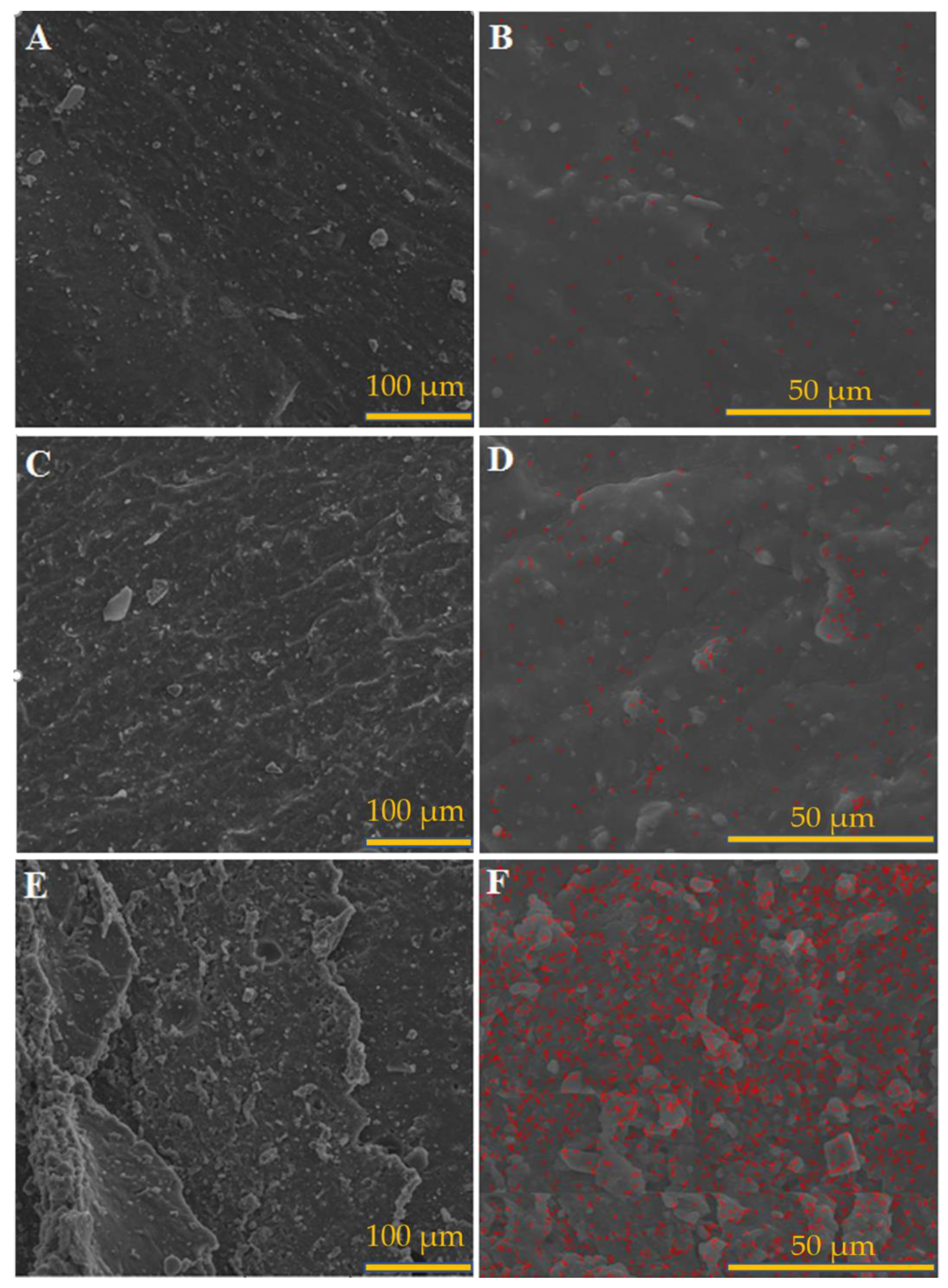Molecules 26 00635 g002