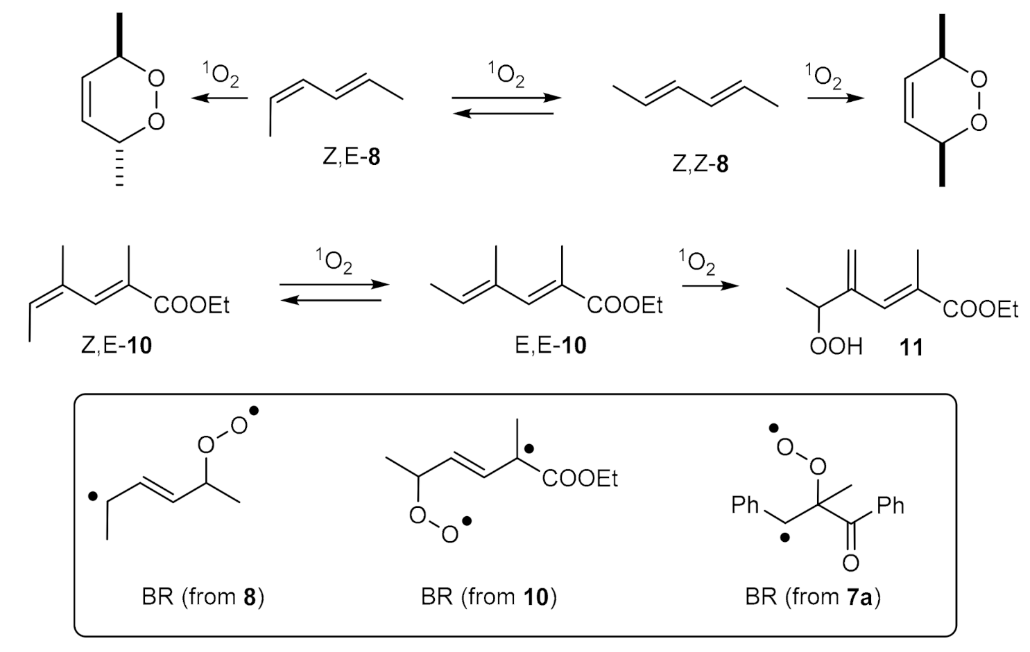 Molecules 26 00642 sch006