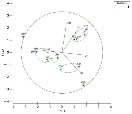 Molecules Free Full Text The Essential Oil Compositions Of Three Teucrium Taxa Growing Wild In Sicily Hca And Pca Analyses Html