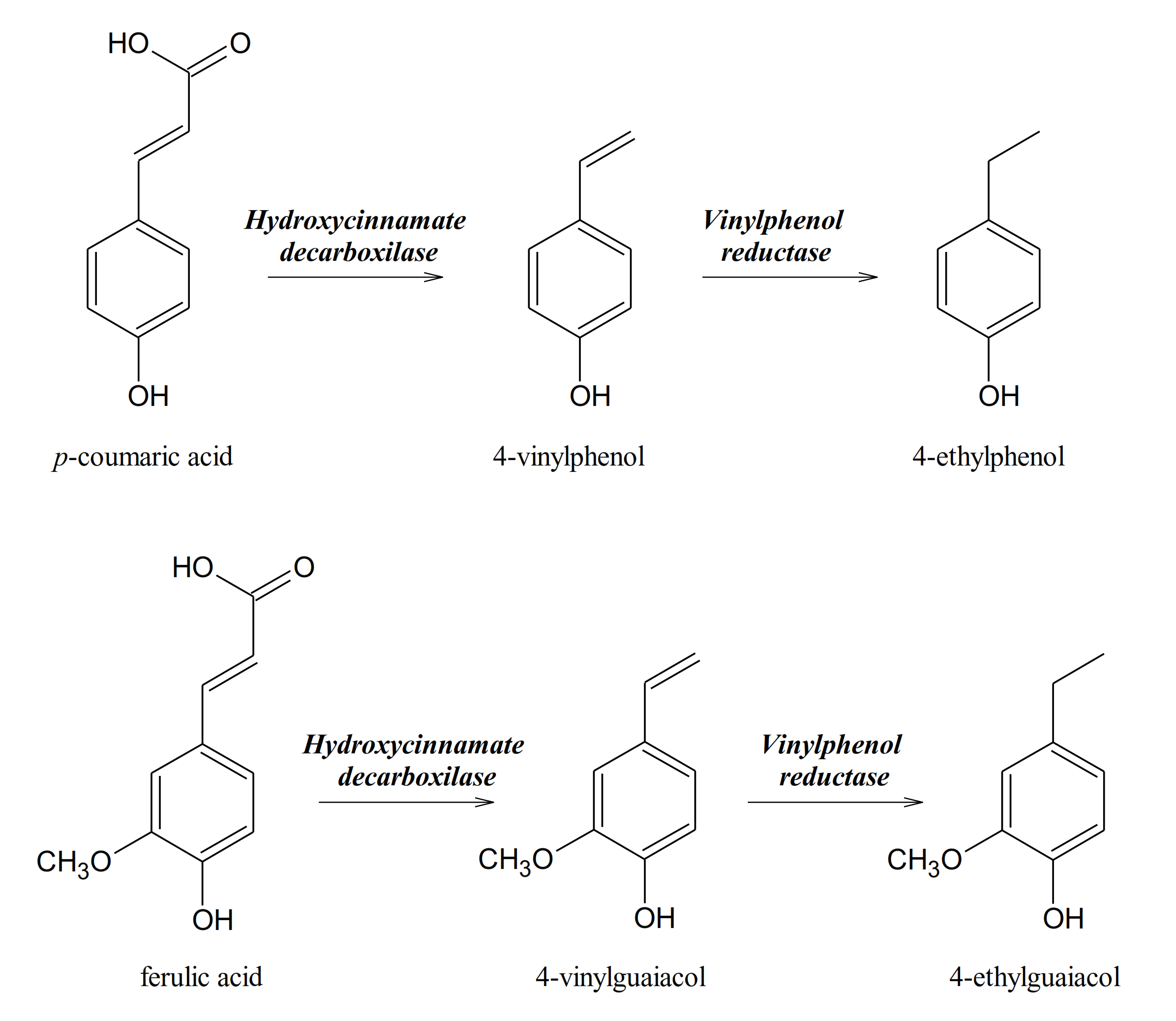 Molecules  Free Full-Text  Influence of Non-Saccharomyces on 