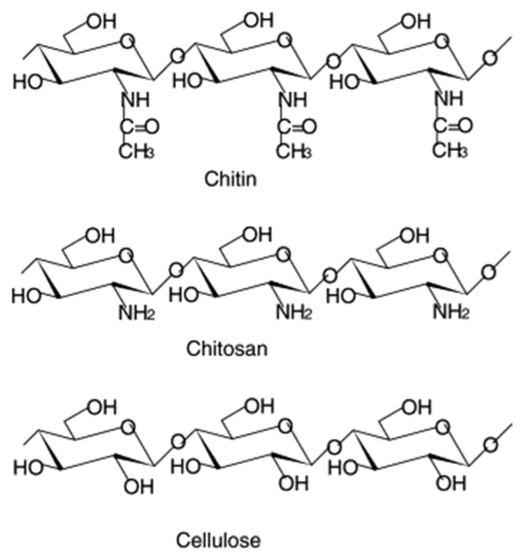 Molecules 26 00660 g001