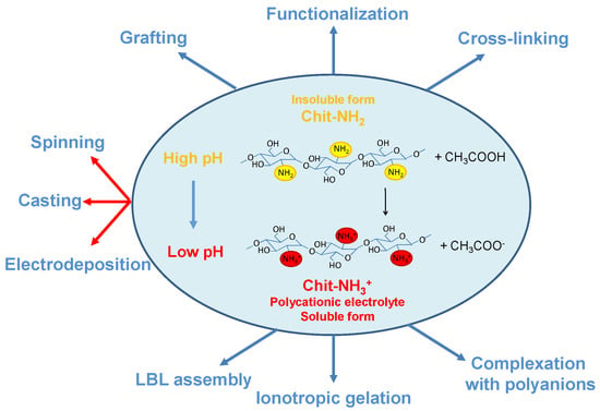 Molecules Free Full Text Ionotropic Gelation Of Chitosan Flat Structures And Potential Applications Html