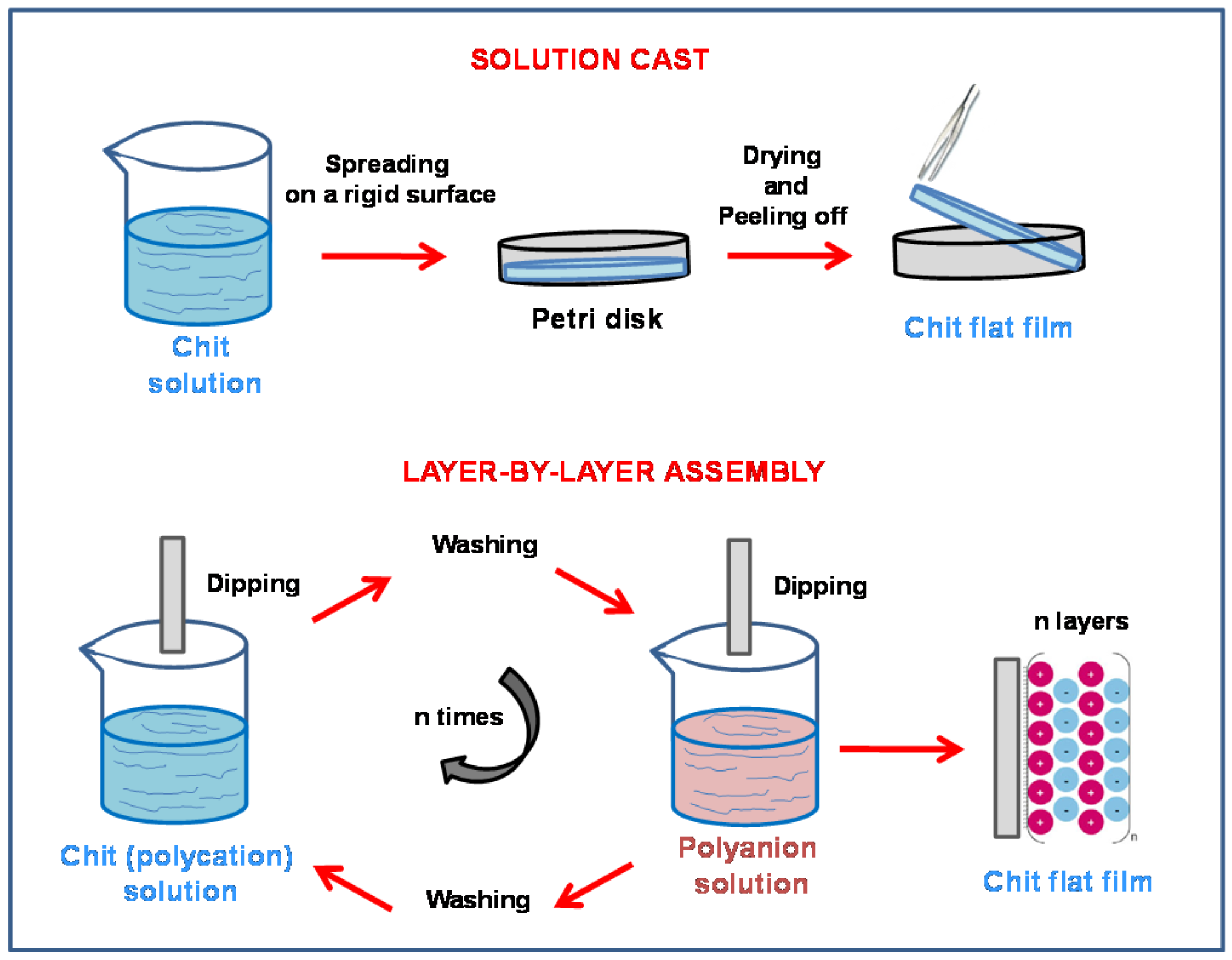 Molecules 26 00660 g003