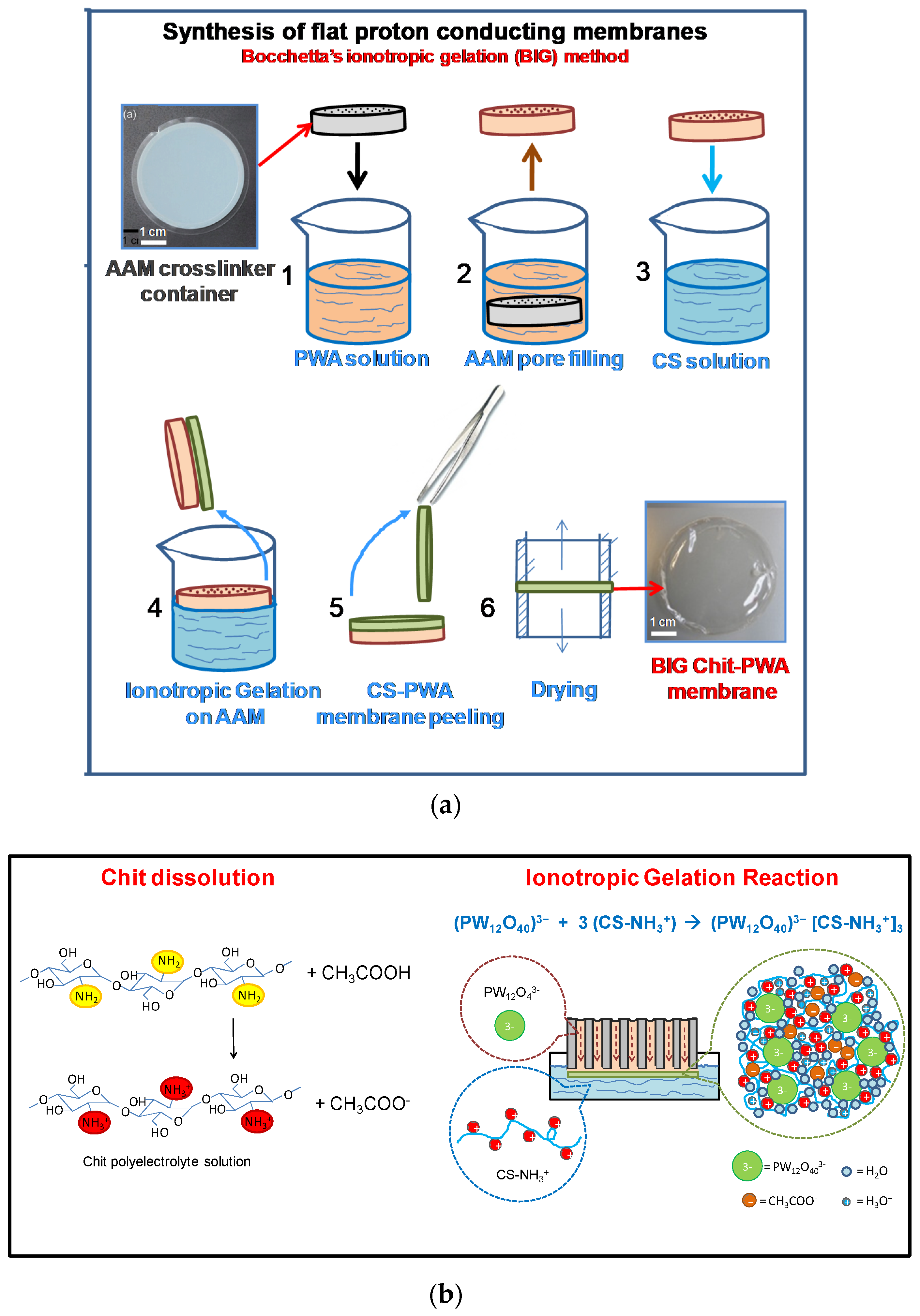 Molecules 26 00660 g009