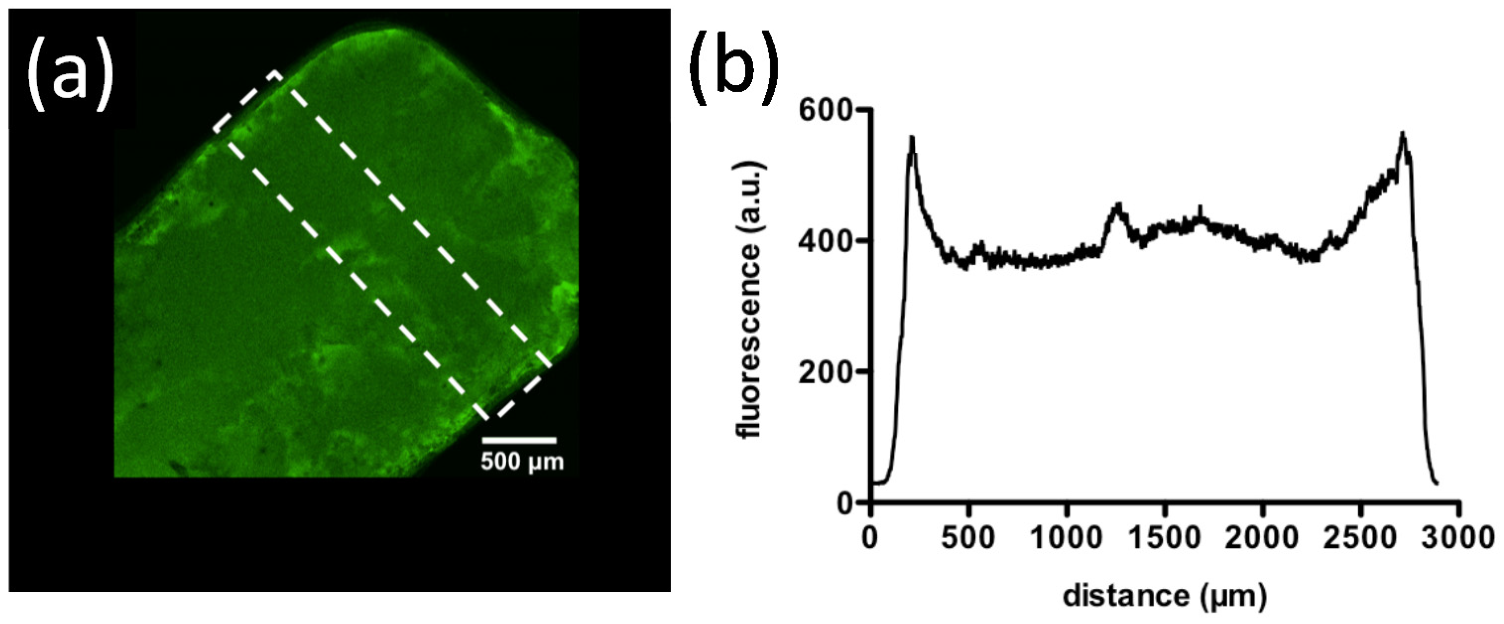 Molecules 26 00660 g012