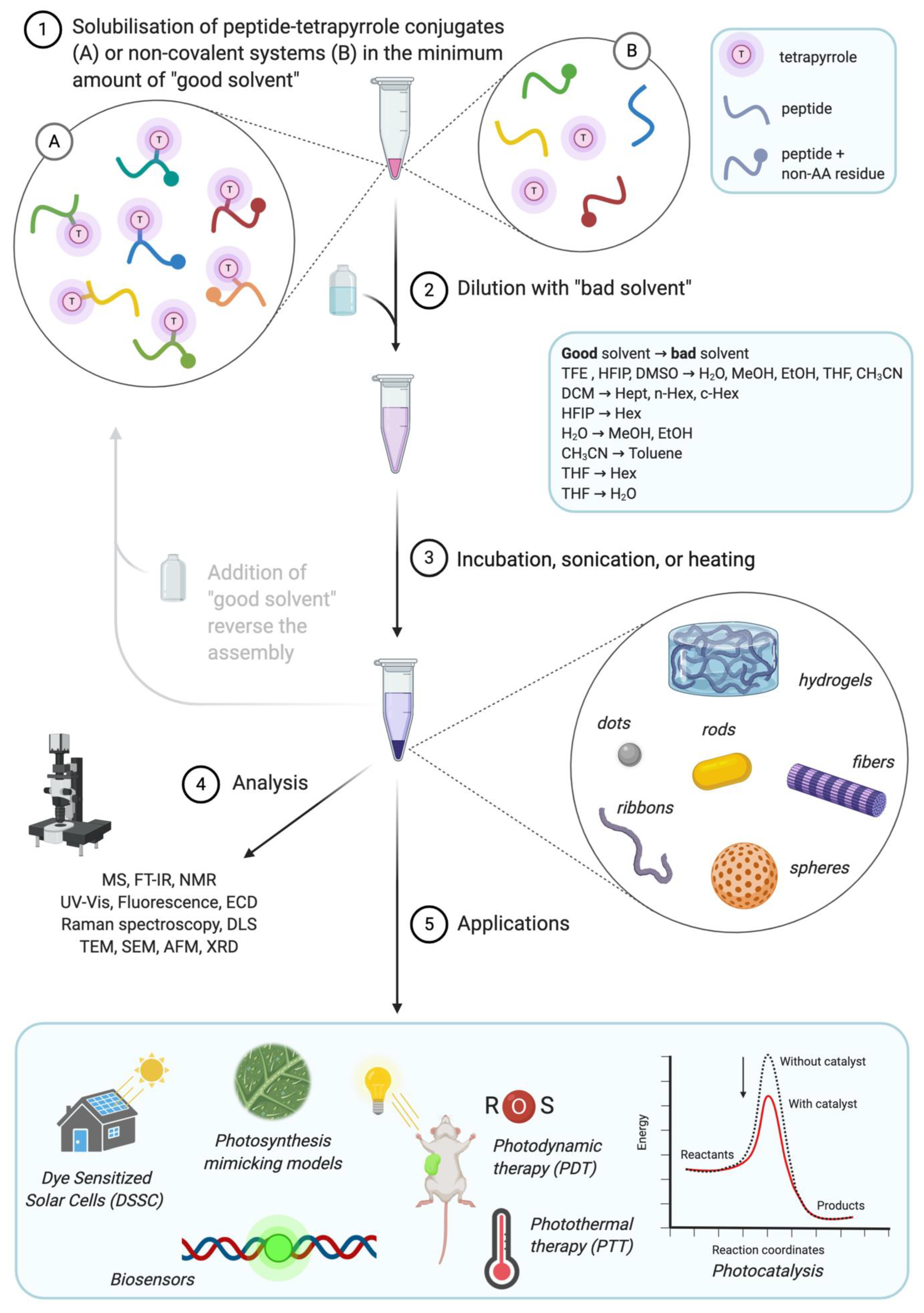 Crystallization and self-assembly of shape-complementary sequence-defined  peptoids - Polymer Chemistry (RSC Publishing) DOI:10.1039/D1PY00426C