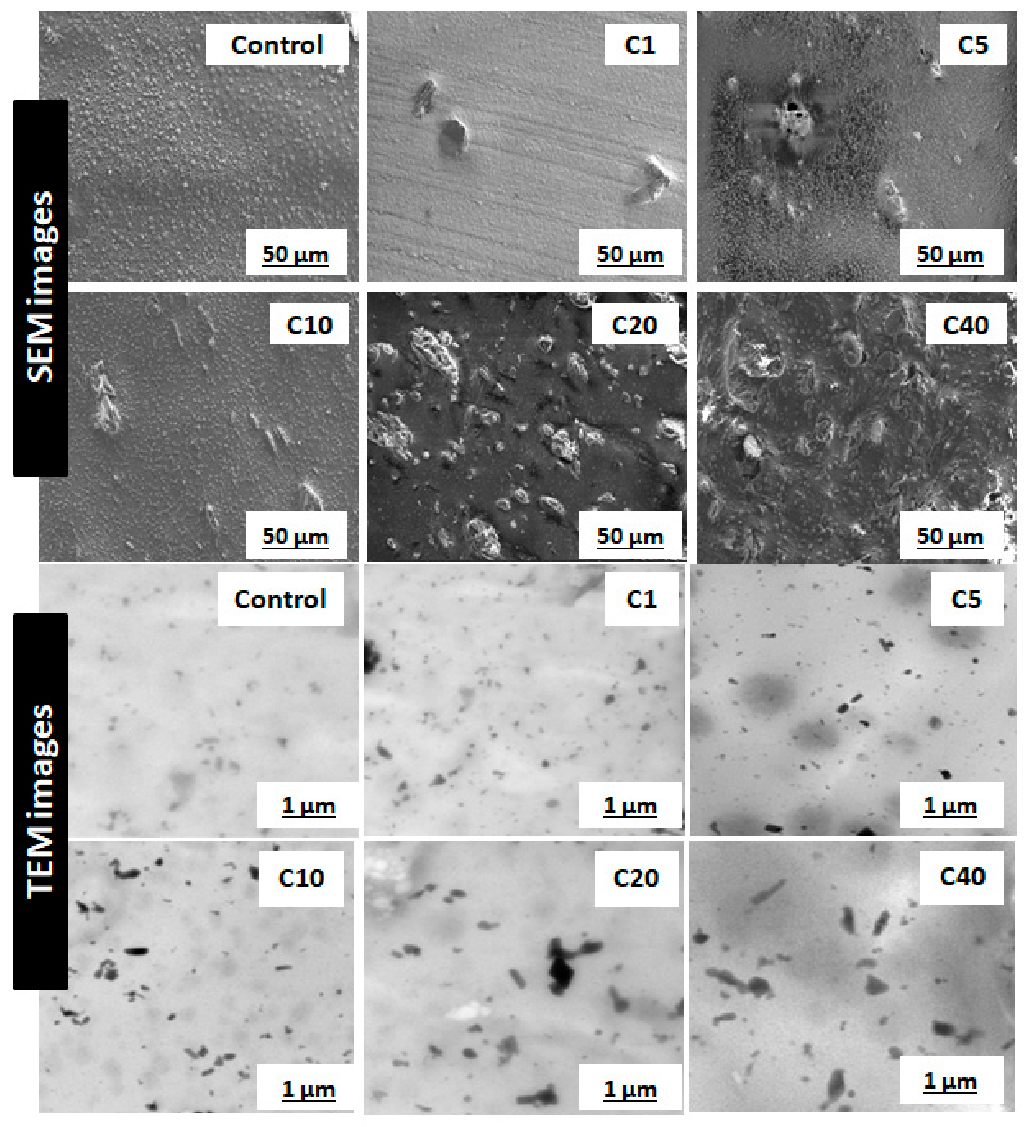 Molecules 26 00694 g003