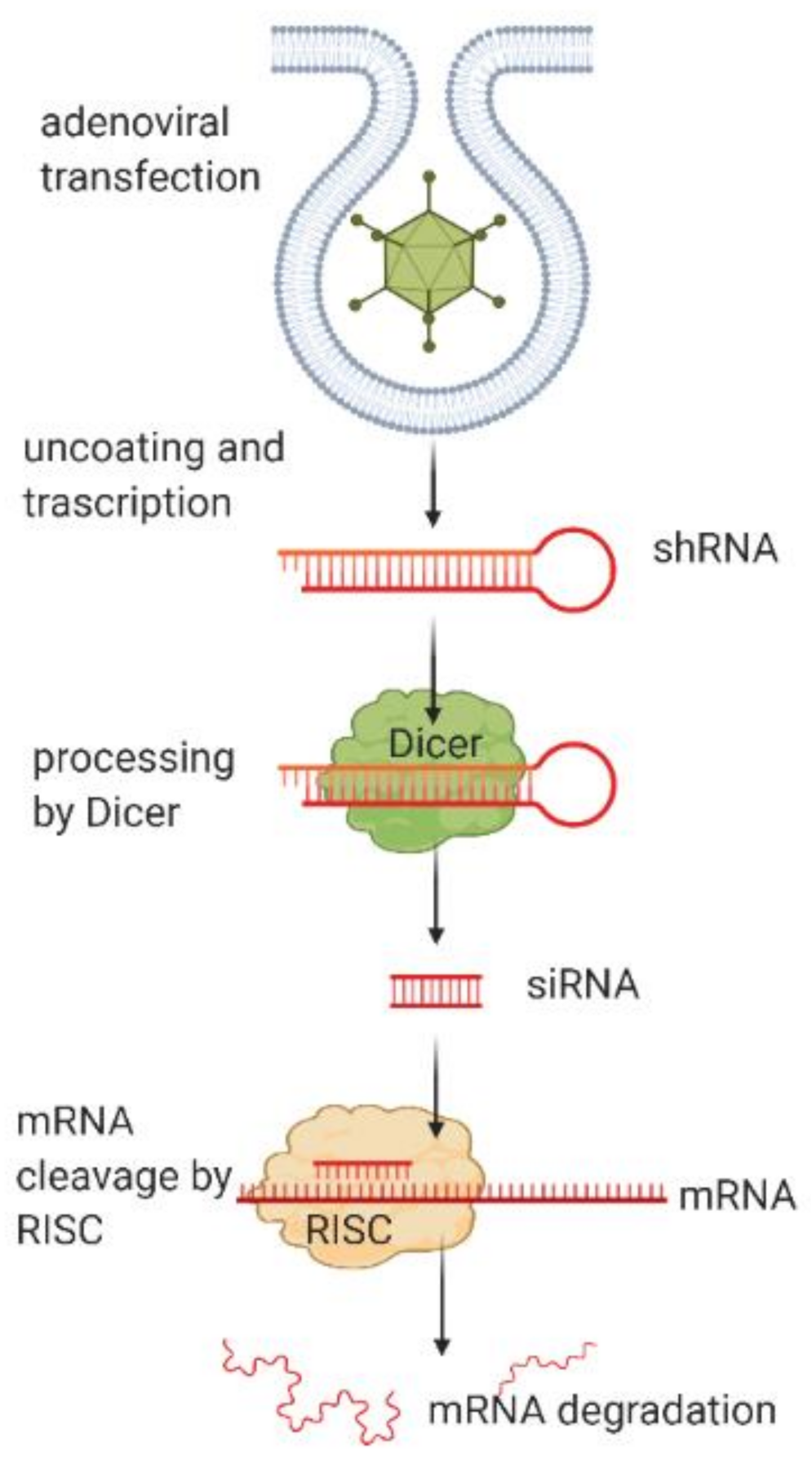 Molecules 26 00701 g002