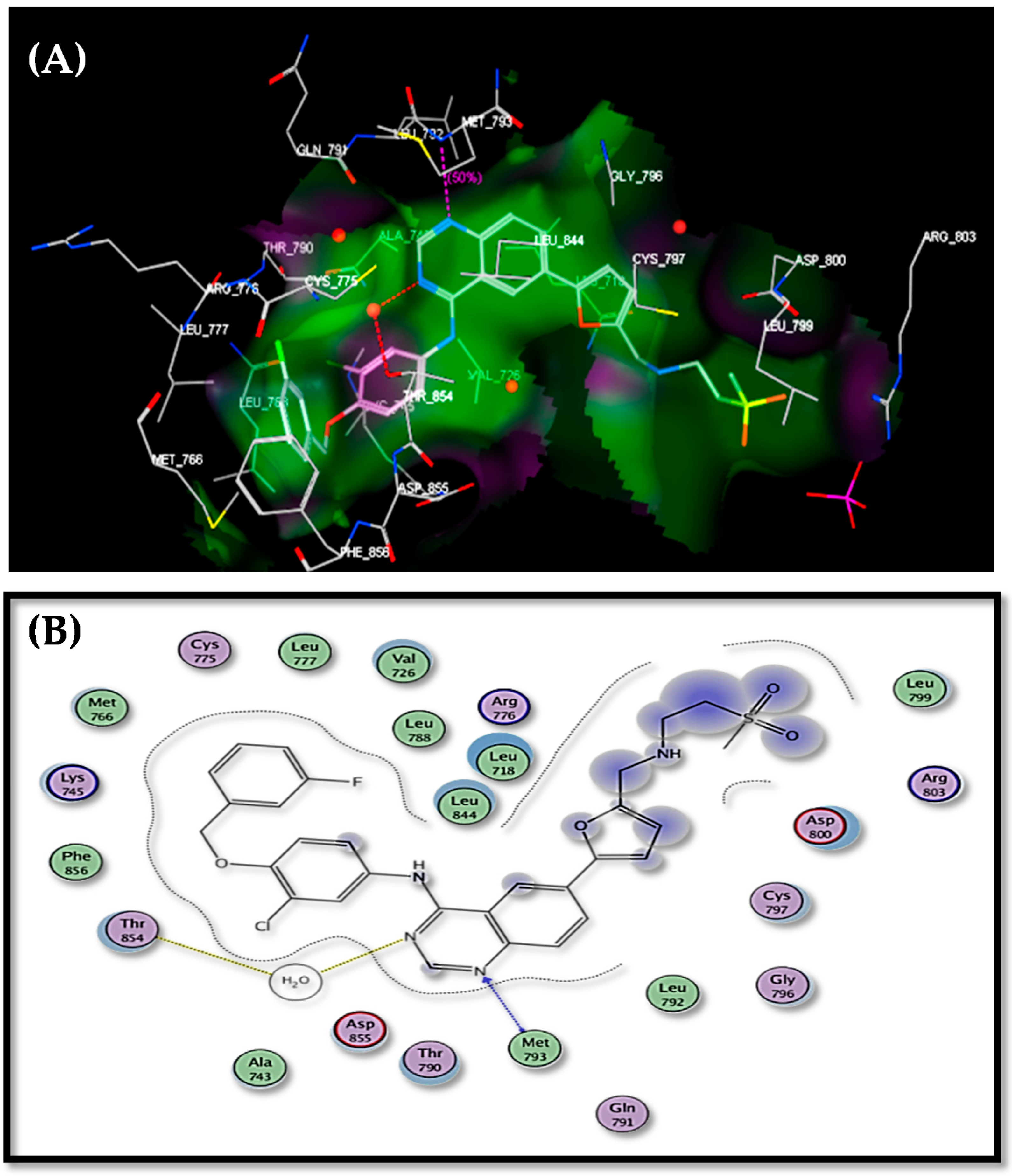 Molecules 26 00708 g005 Molecules 26 00708 g005
