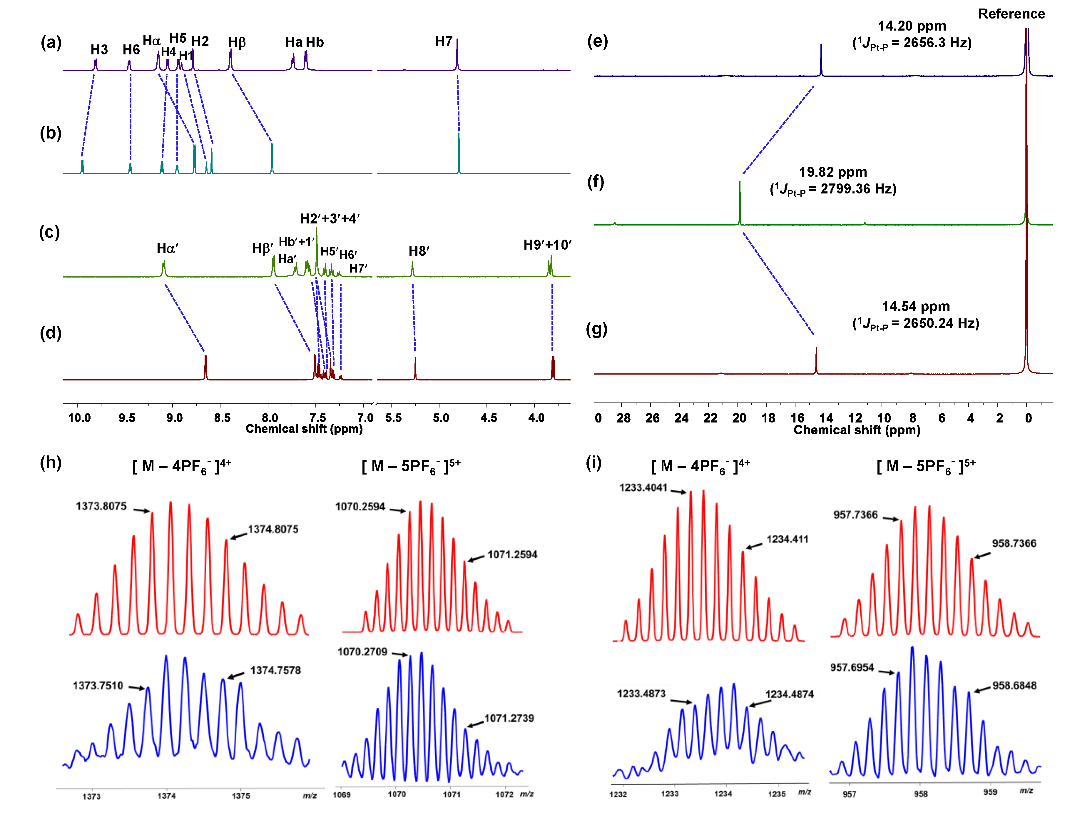 Molecules 26 00716 g001 Molecules 26 00716 g001