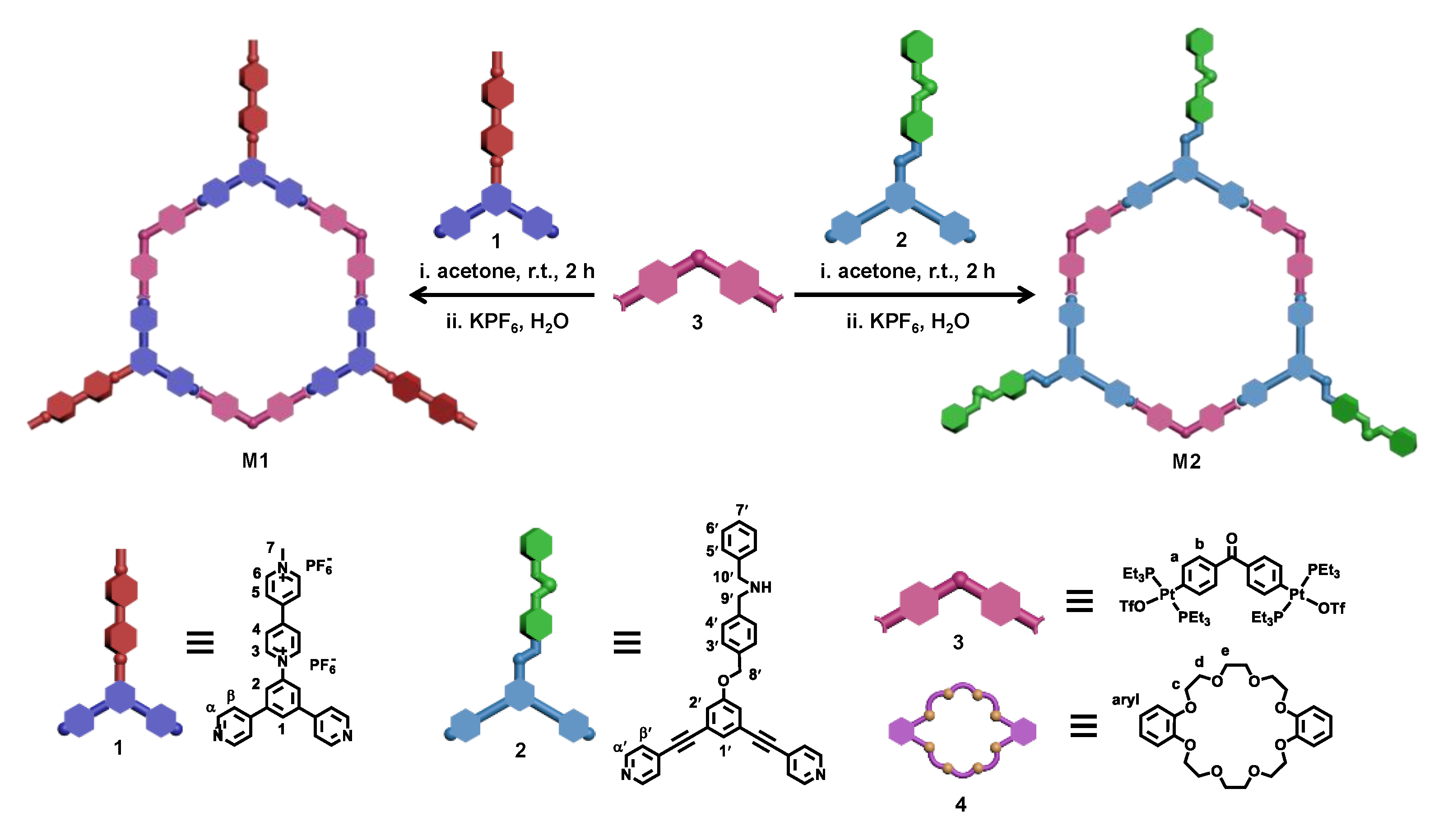 Molecules 26 00716 sch001 Molecules 26 00716 sch001