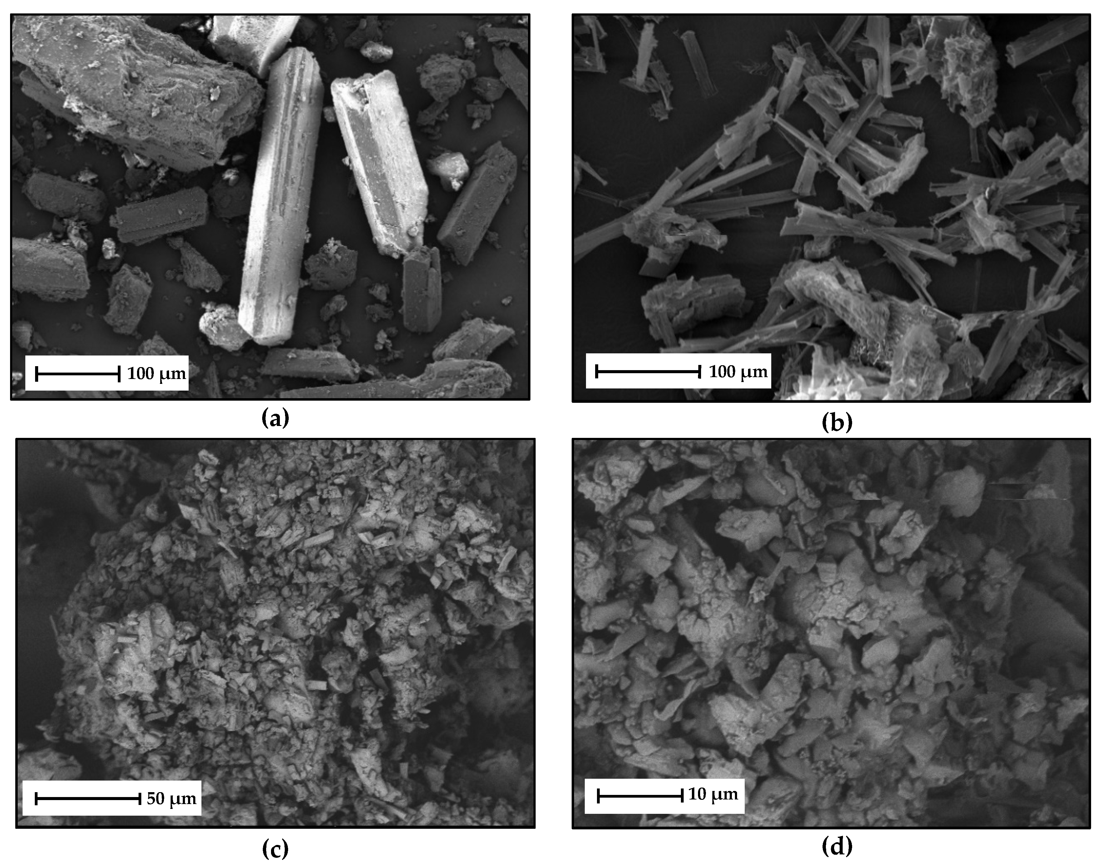 Molecules 26 00720 g010 Molecules 26 00720 g010