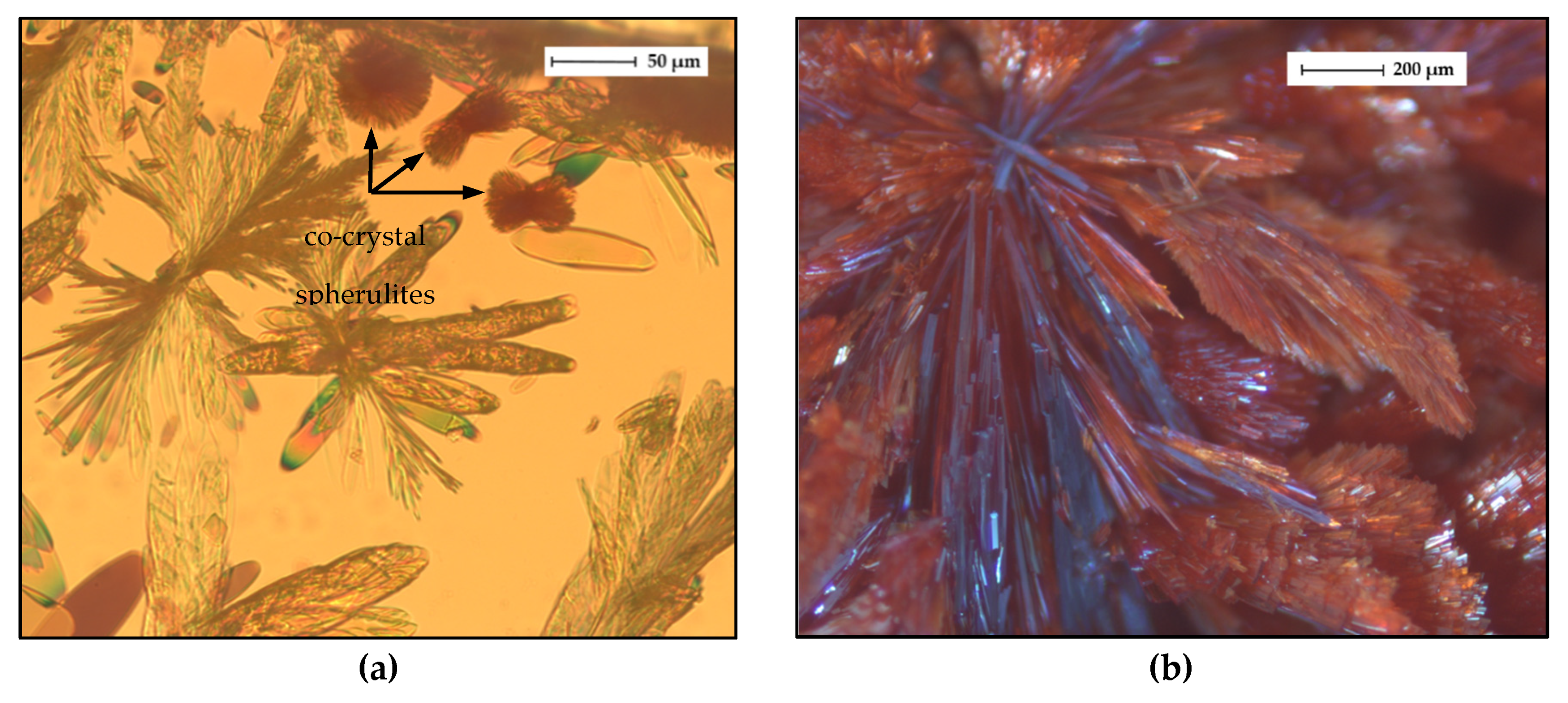 Molecules 26 00720 g014 Molecules 26 00720 g014
