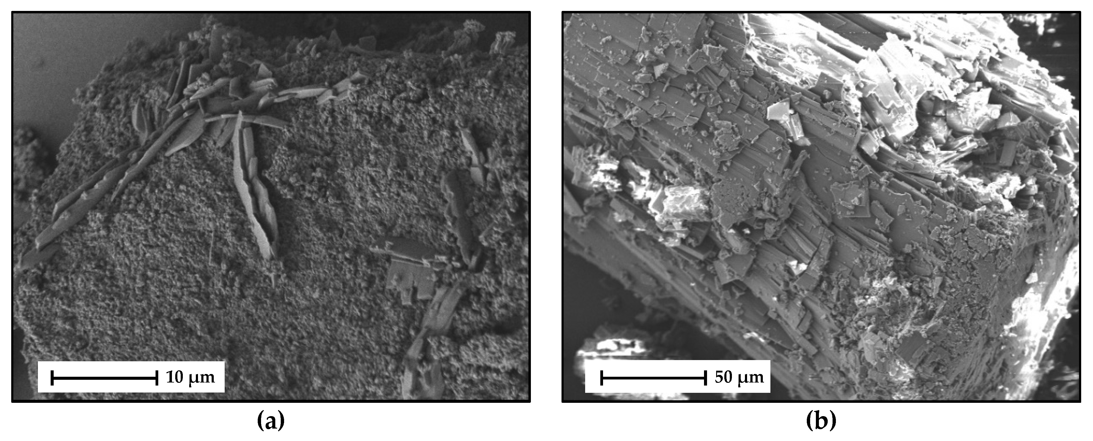 Molecules 26 00720 g015 Molecules 26 00720 g015