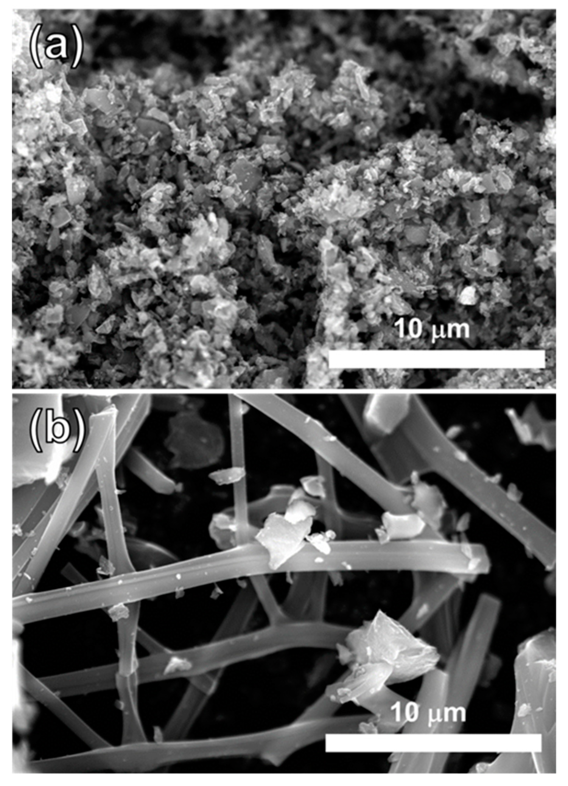 Molecules 26 00724 g010