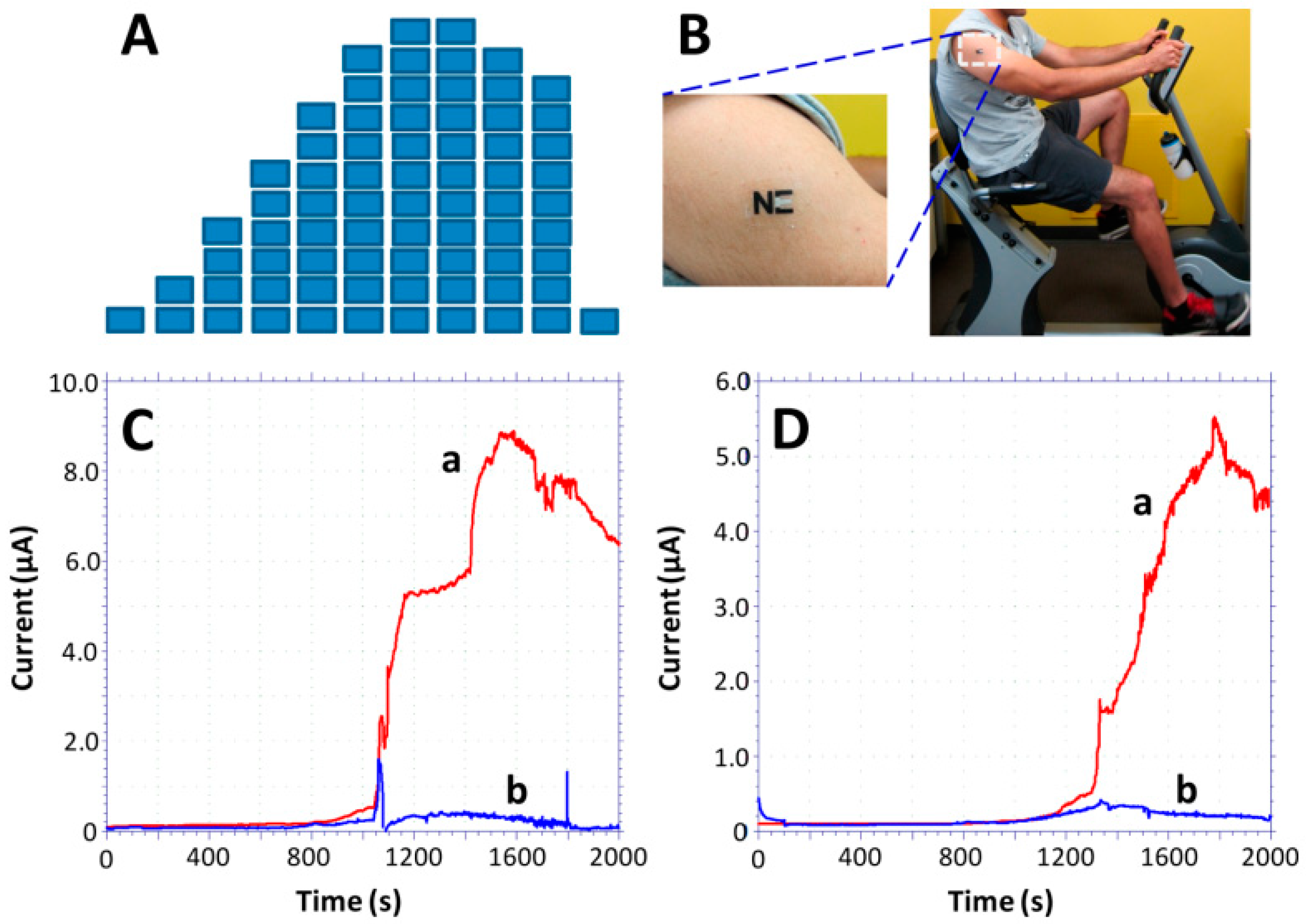 Molecules | Free Full-Text | Wearable Biosensors: An Alternative And ...